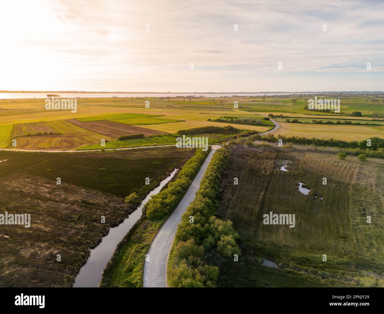 Aerial view of the cultivated fields of the estuary in Murtosa, Aveiro