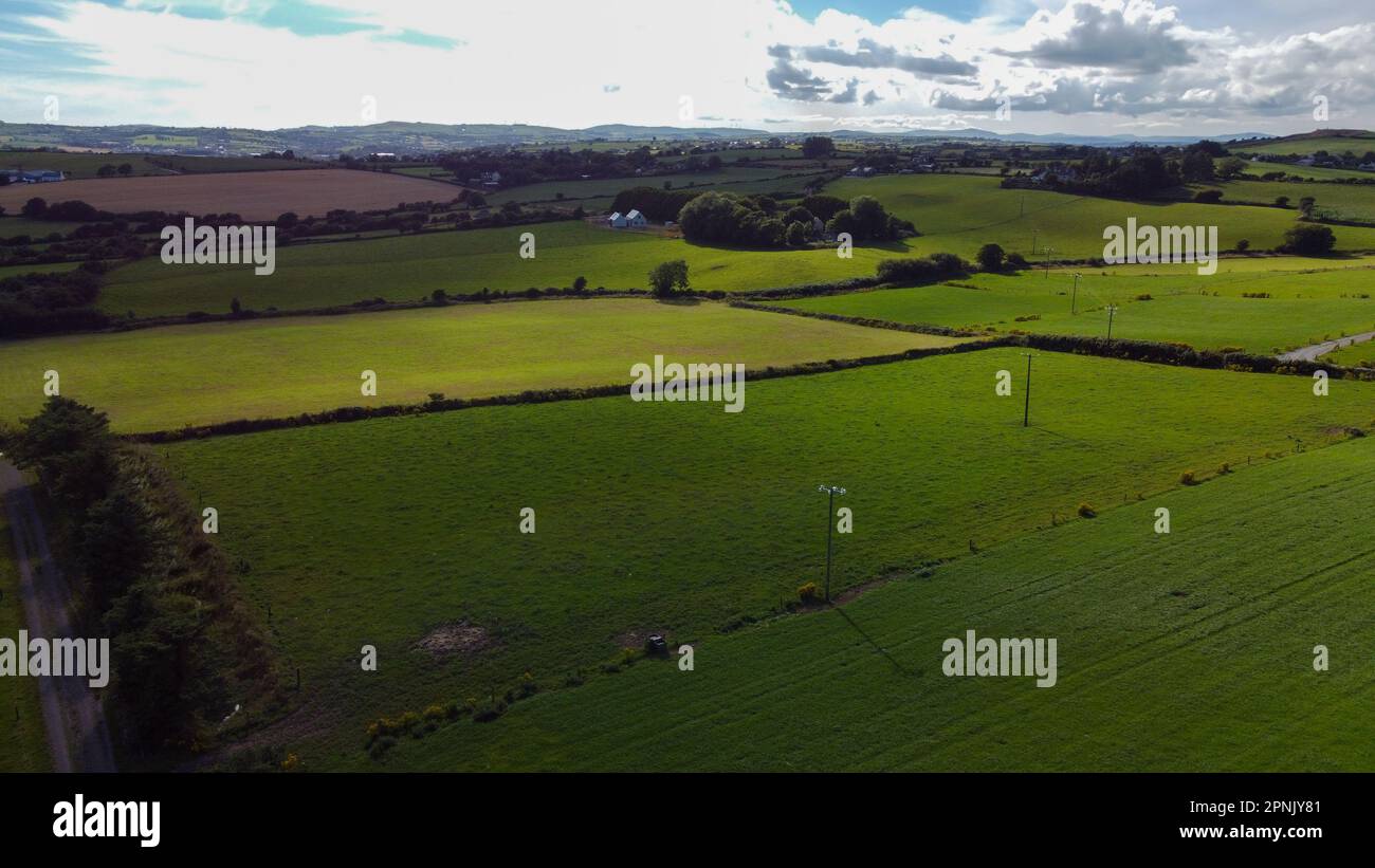 Green farm fields separated by shrubs, top view. Cattle pastures in the south of Ireland. Agricultural landscape, nature. Green grass Stock Photo