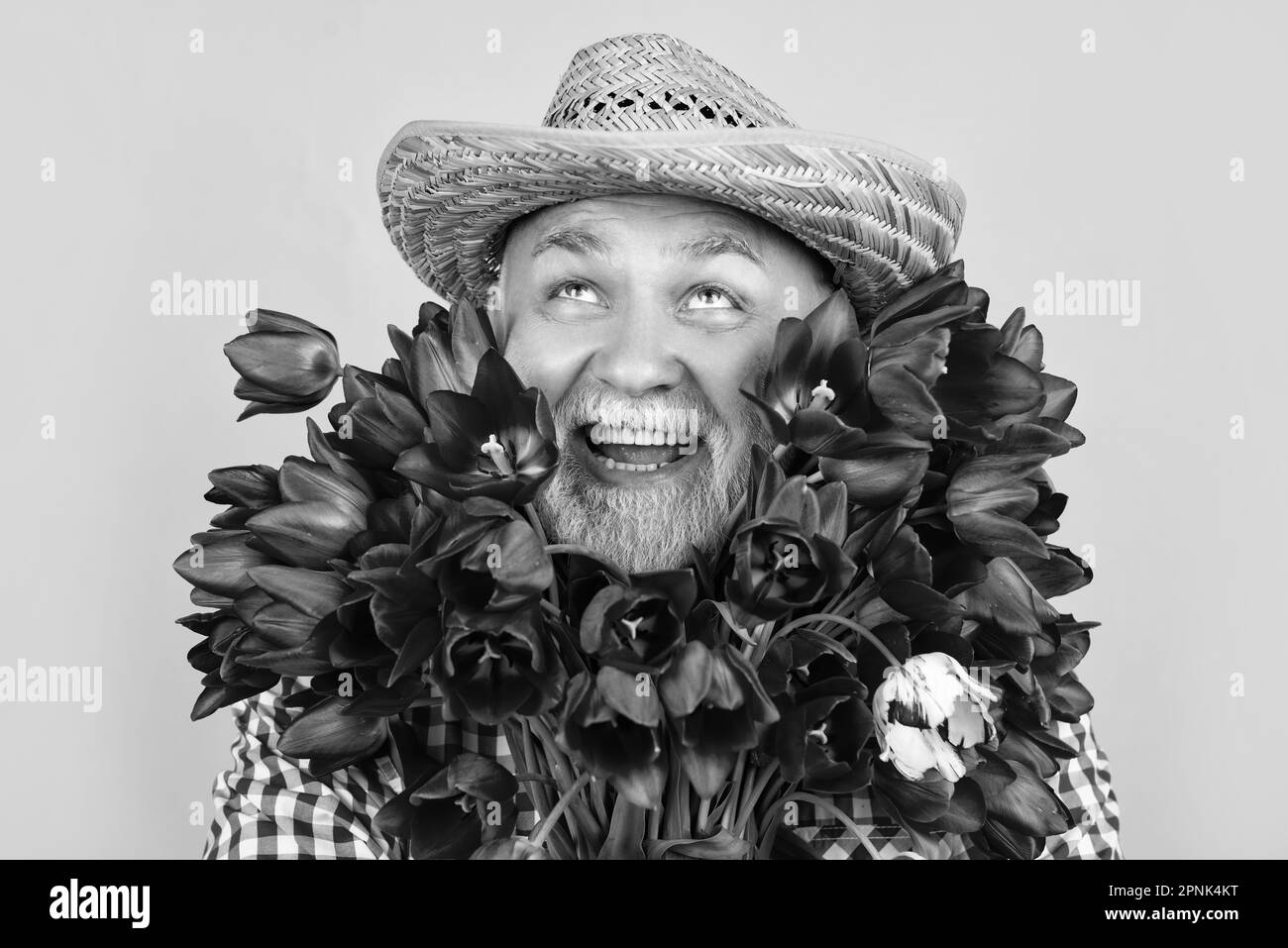 Senior man tulips Black and White Stock Photos \u0026 Images - Alamy, image size:1300x957