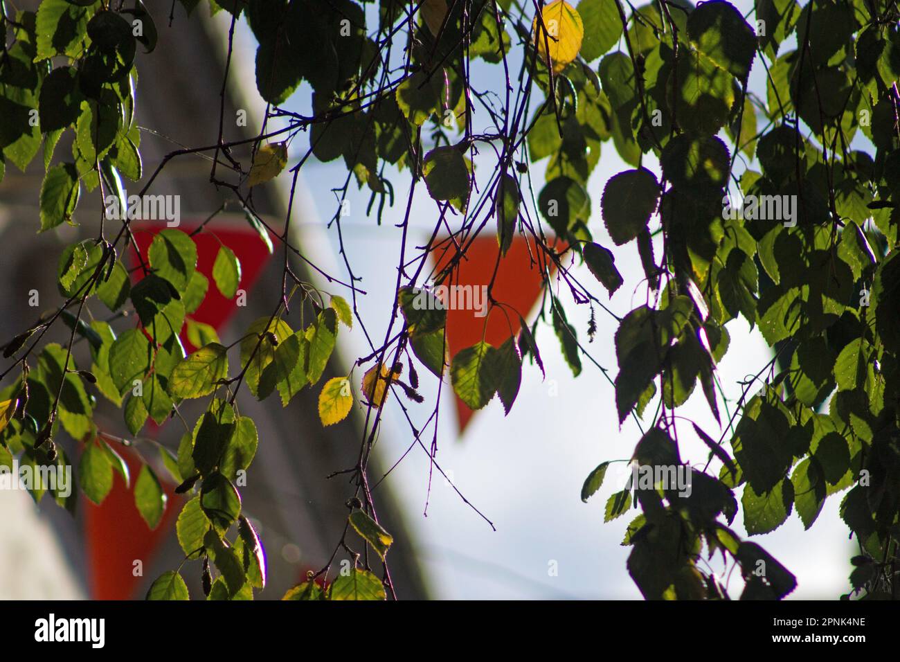 leaves and red bunting with a pale blue sky Stock Photo