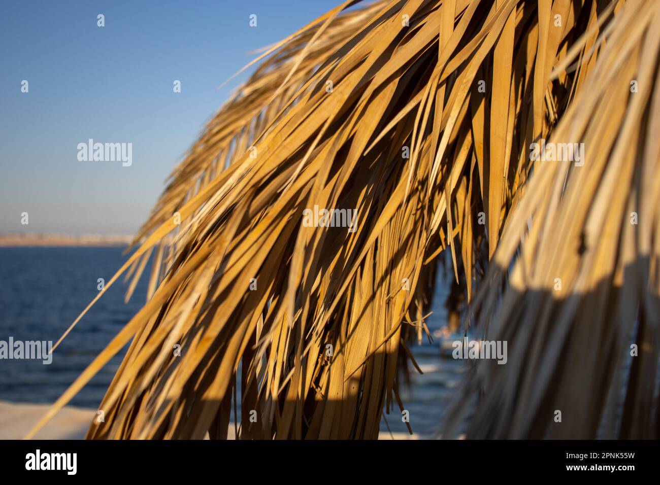 old palm leaf hanging from the edge of a palapa with the blue sea in the background Stock Photo