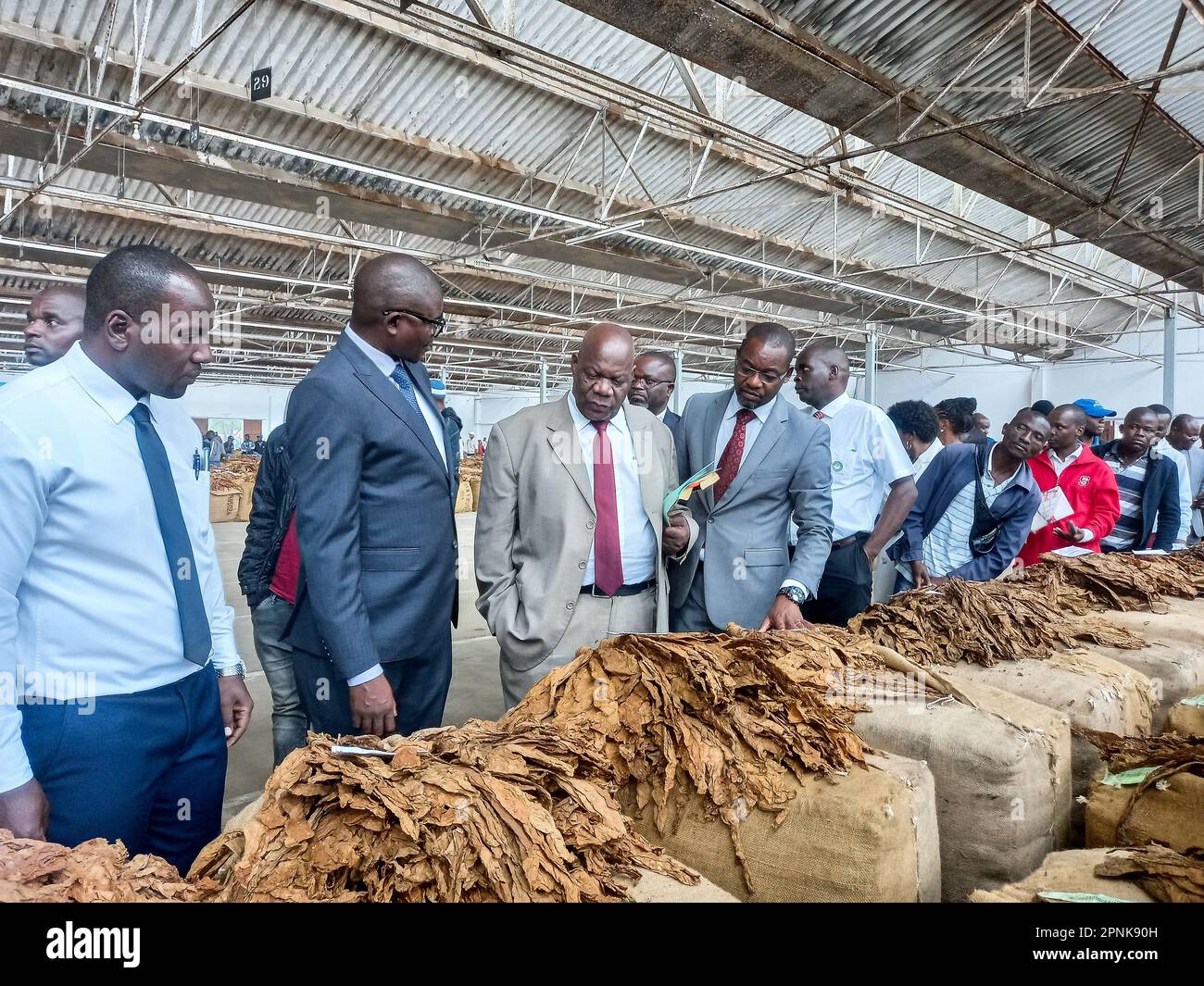 Blantyre, Malawi. 17th Apr, 2023. Buyers check on tobacco at the Limbe