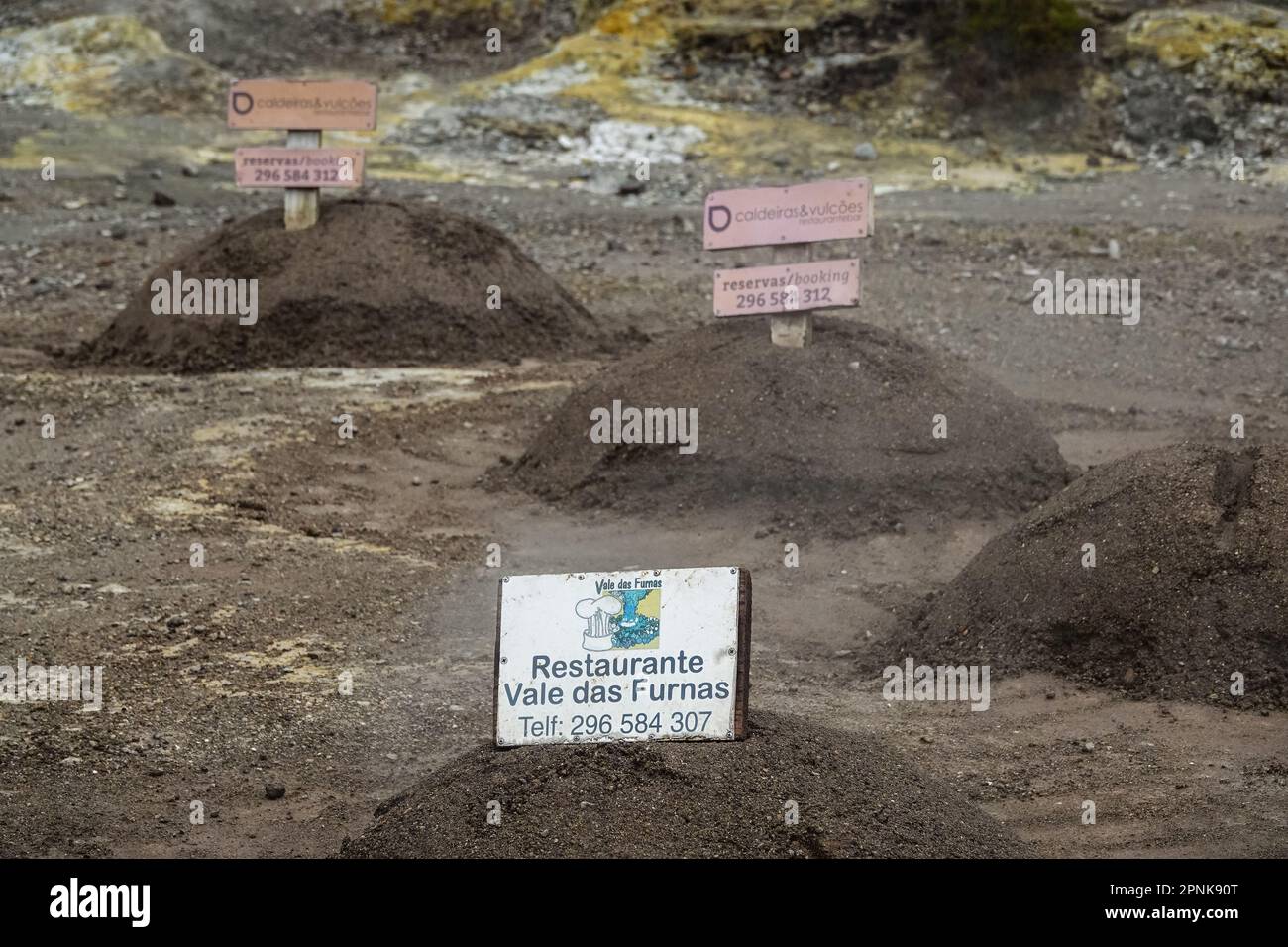 Markers identifying the restaurants that placed a stew pot into a ...