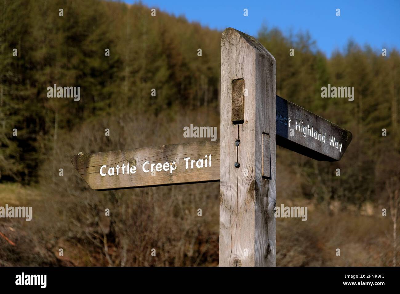 Fingerpost sign for the Cattle Creep Trail and the West Highland Way, Tyndrum, Scotland Stock Photo
