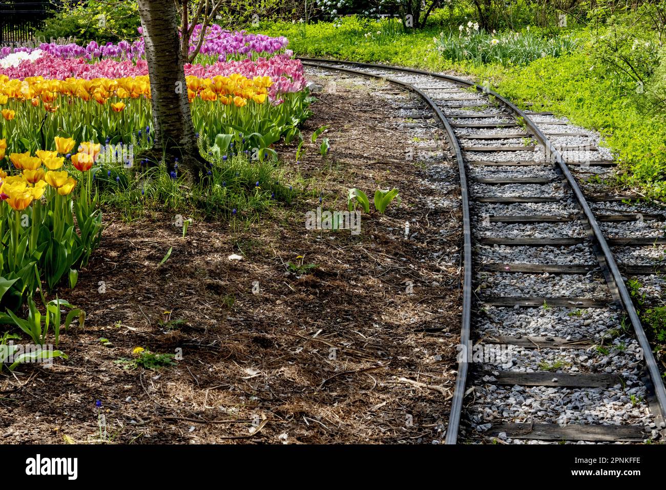 Zoo Blooms 2023 Stock Photo Alamy