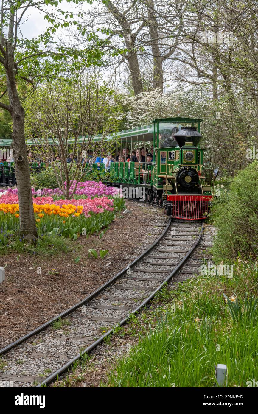 Zoo Blooms 2023 Stock Photo Alamy