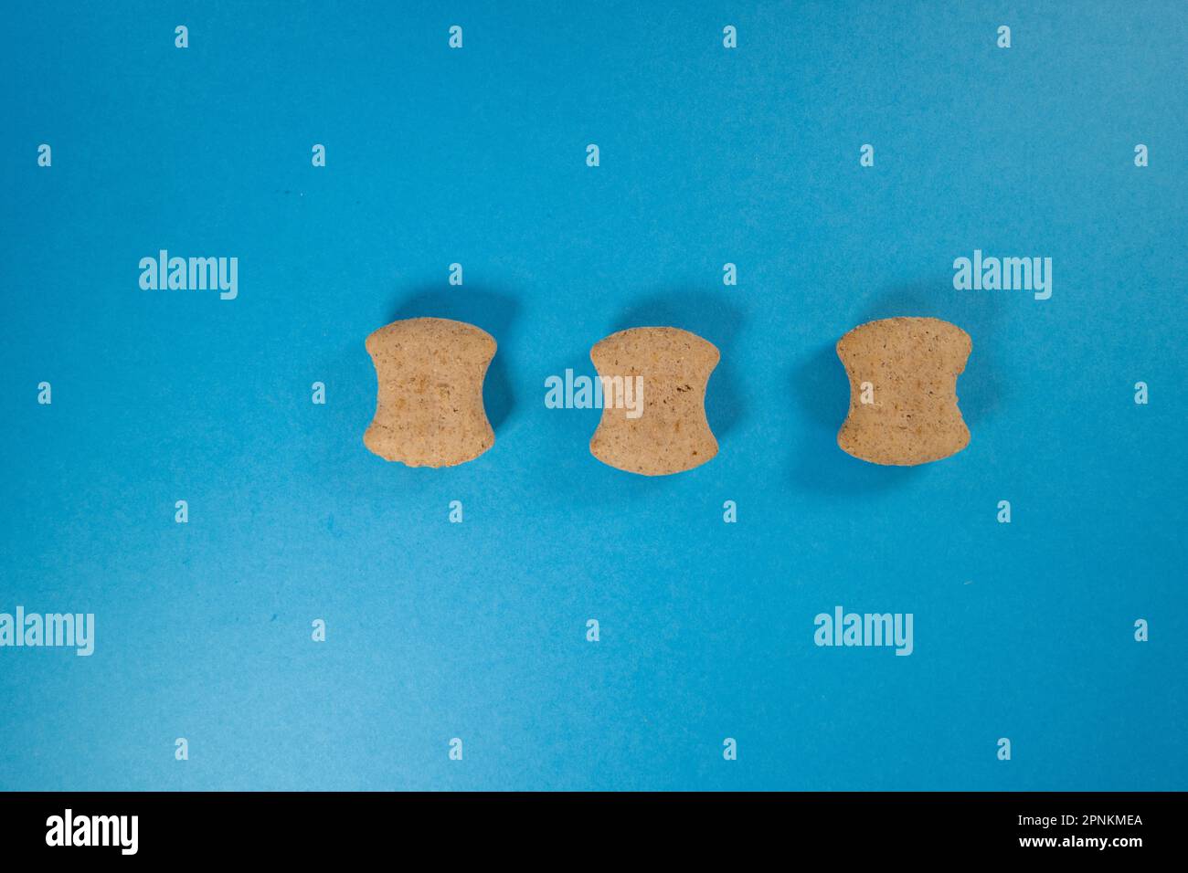 three dog biscuit isolated on a blue background Stock Photo