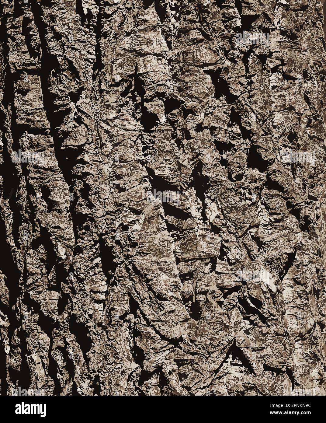 Illustration of a closeup of cork tree bark. Cork oak or Quercus suber in Latin Stock Photo Alamy
