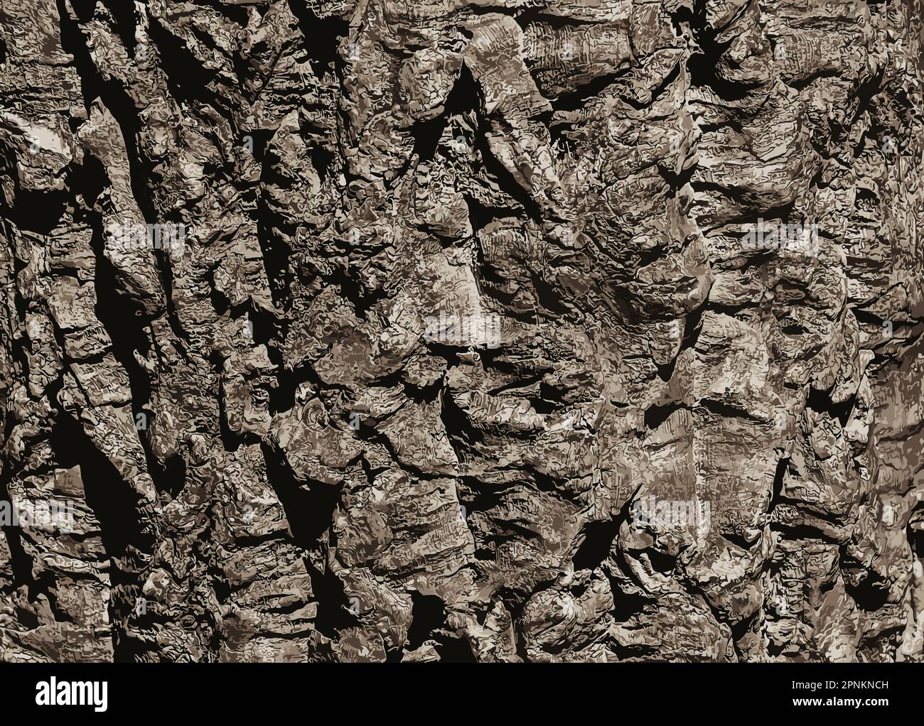 Illustration of a closeup of cork tree bark. Cork oak or Quercus suber in Latin Stock Photo Alamy