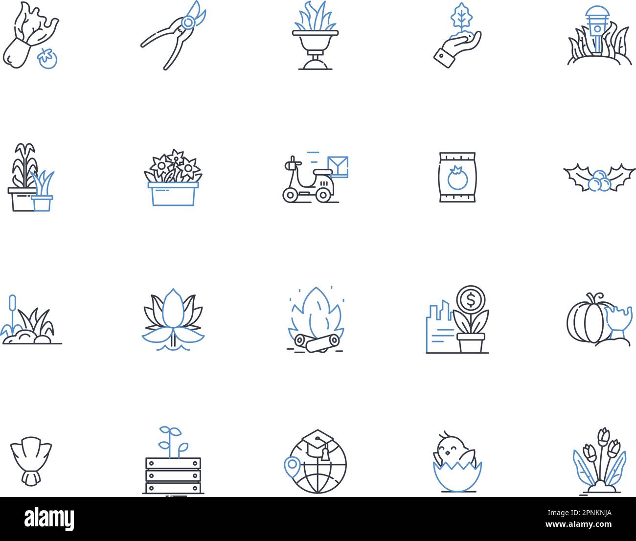 Aquaculture line icons collection. Barramundi, Tilapia, Catfish, Shrimp, Trout, Salmon, Oysters vector and linear illustration. Mussels,Clams,Seaweed Stock Vector