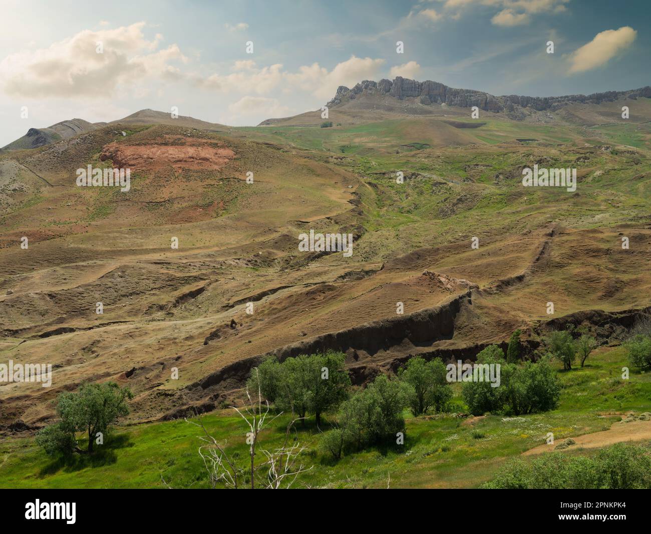 Noahs ark mount ararat location