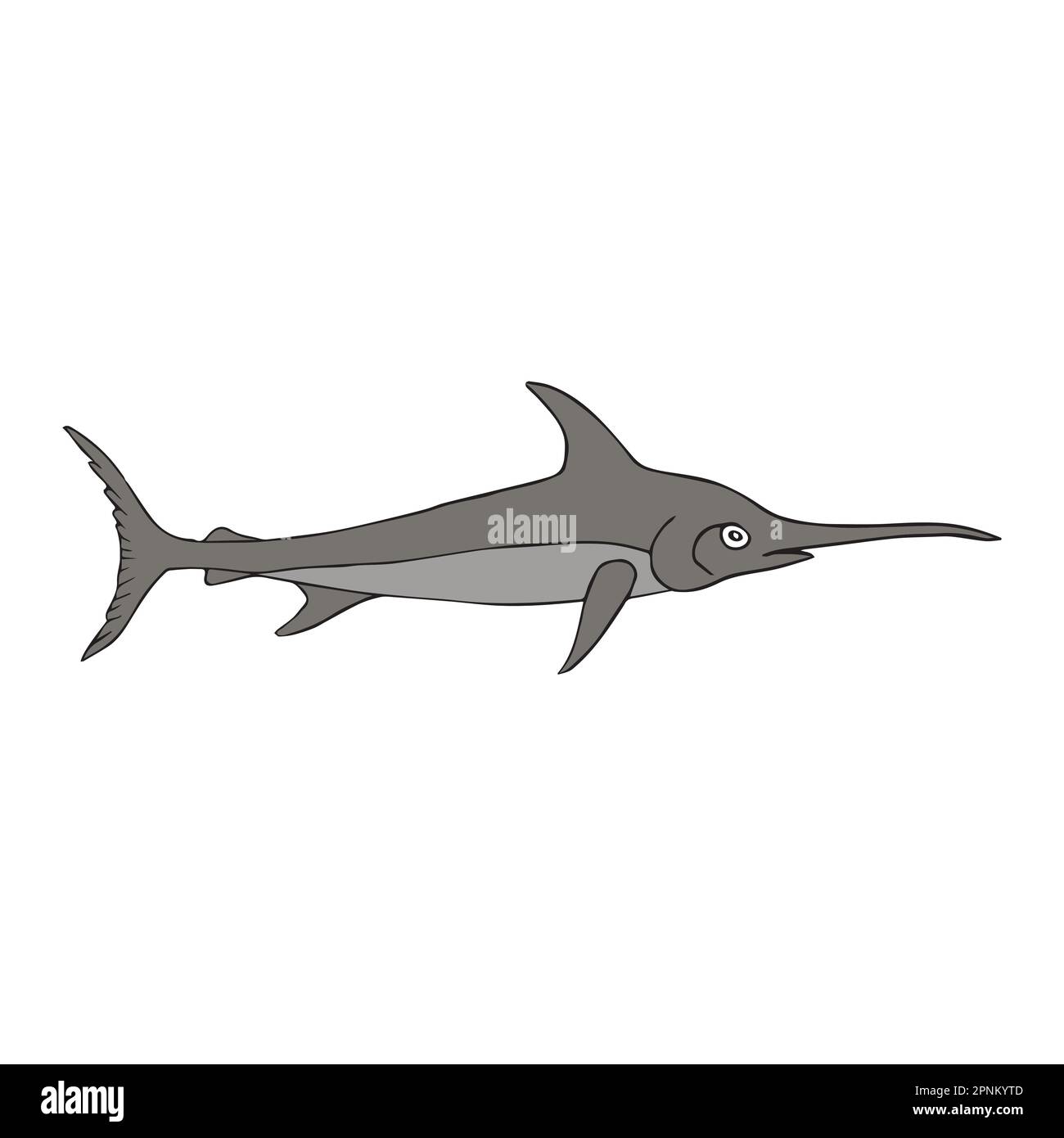 Vector hand drawn doodle sketch colored swordfish isolated on white