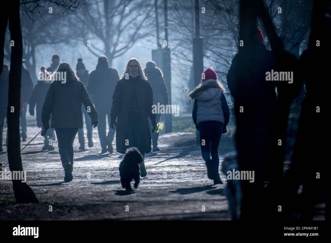 Walking in a misty London park in winter Stock Photo
