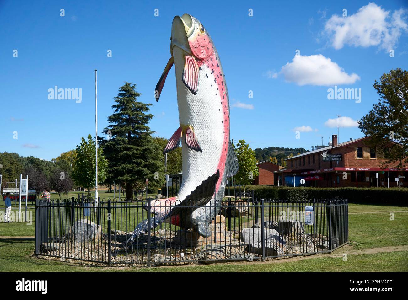 Adaminaby NSW Australia. A sculpture of the Big Rainbow Trout