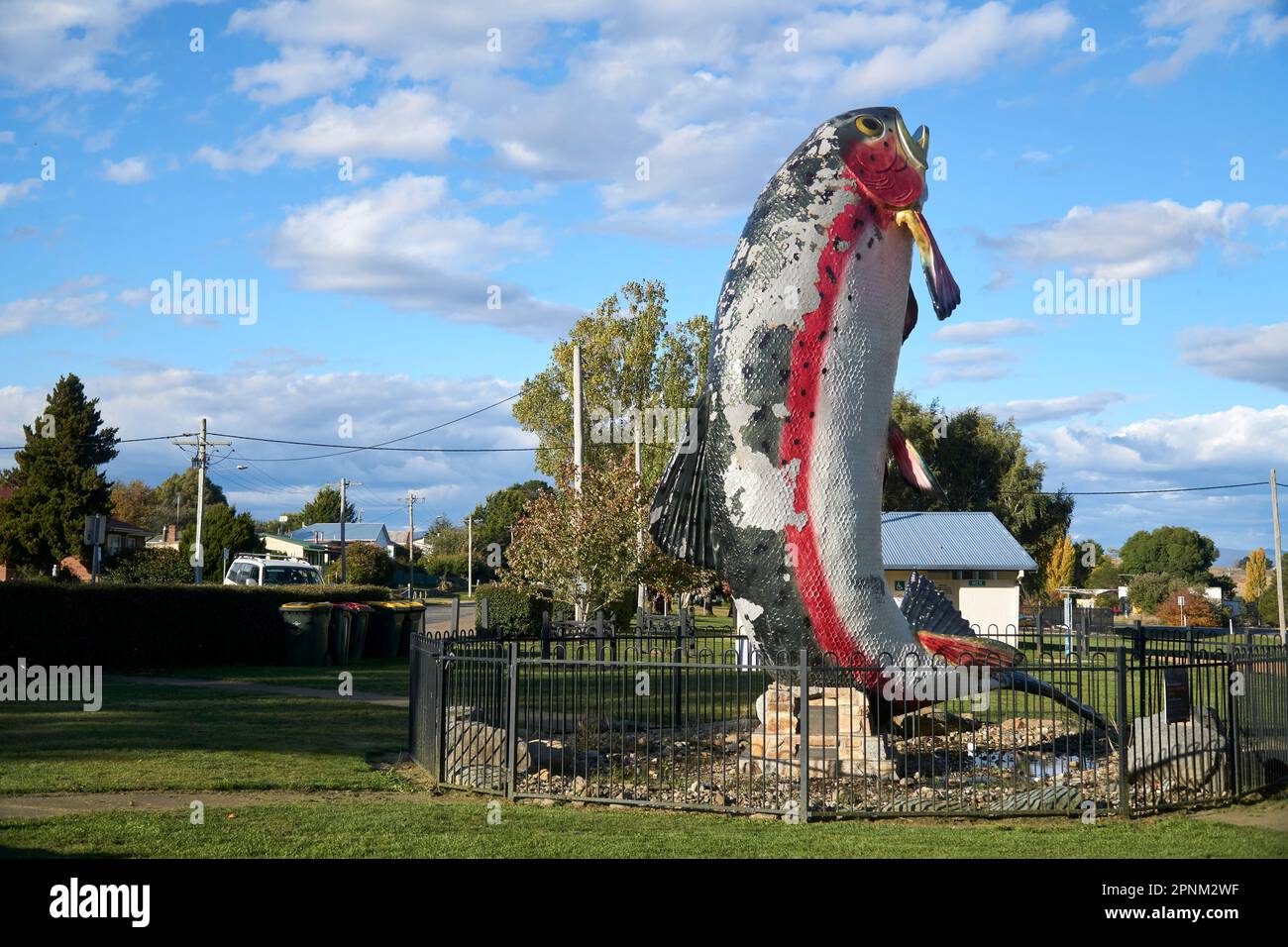 Adaminaby NSW Australia. A sculpture of the Big Rainbow Trout Oncorhynchus mykiss capturing the moment when they jump out of the water. Stock Photo