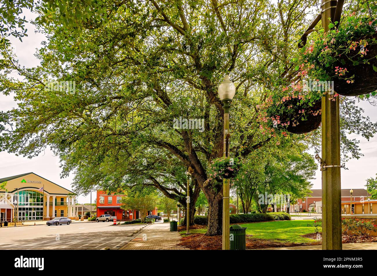 Flowers and treelined streets create the picturesque Courthouse Square