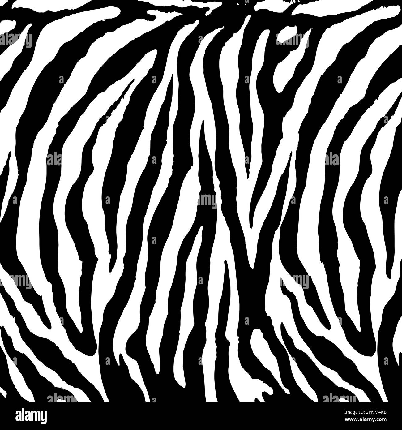 Seamless zebra pattern, zebra, tiger skin, African animal print. Stock Photo