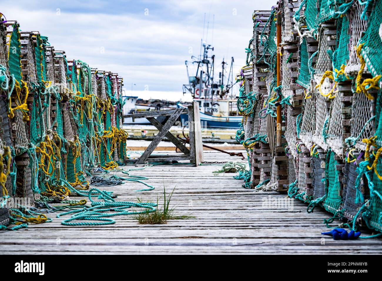 Wooden lobster traps stacked in rows on an old dock with colourful ropes overlooking a harbour with fishing boats in Whiteway Newfoundland Canada Stock Photo