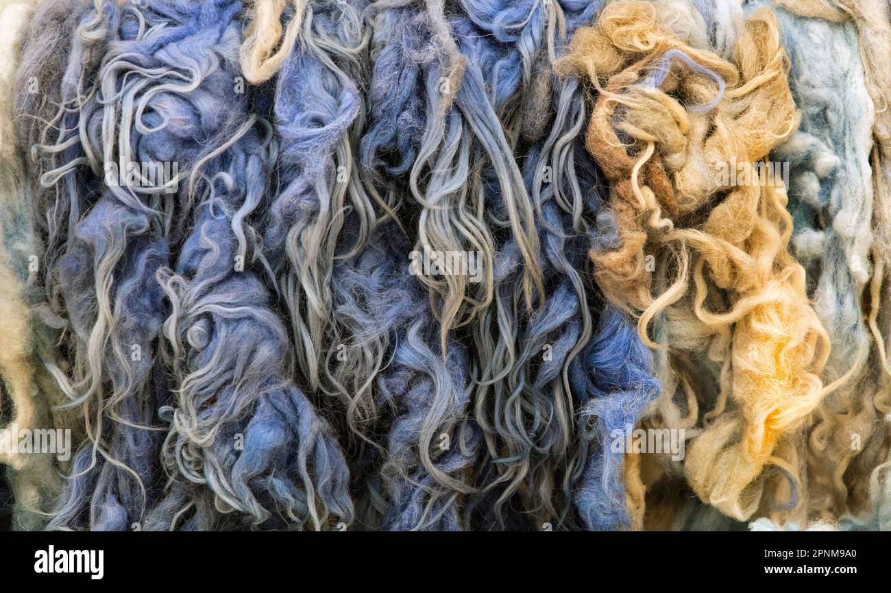 Coloured wool part of artwork by Jannis Kounellis (1936 - 2017)  member of Arte Povera (Poor Art) movement in Italy Stock Photo