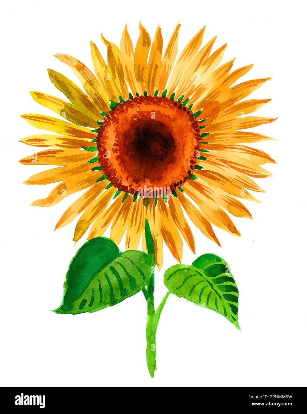 How to Paint a Sunflower: 10 Steps (with Pictures) - wikiHow
