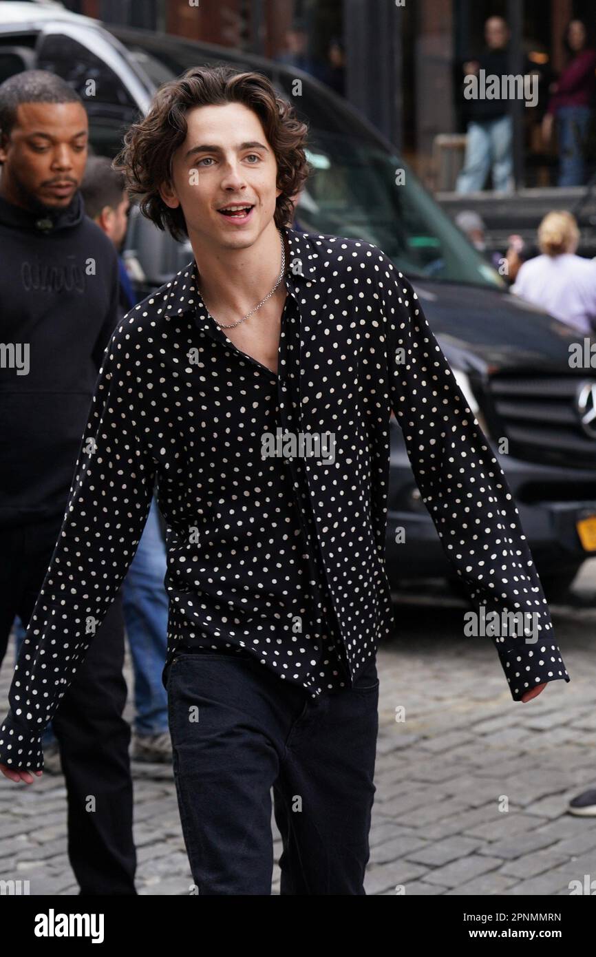 New York, NY, USA. 19th Apr, 2023. Timothee Chalamet out and about for ...