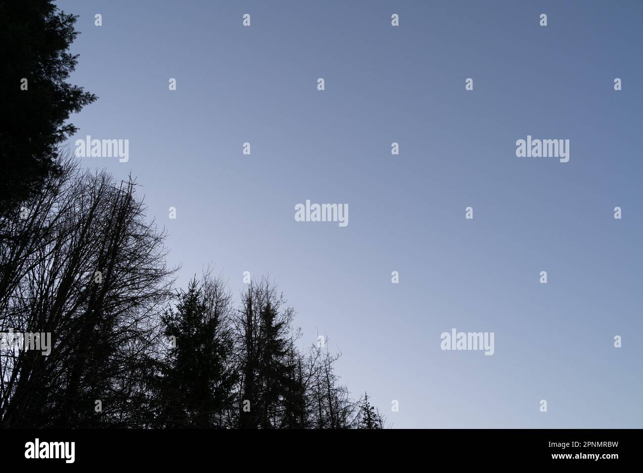 Blue evening sky in spring with trees on the side Stock Photo