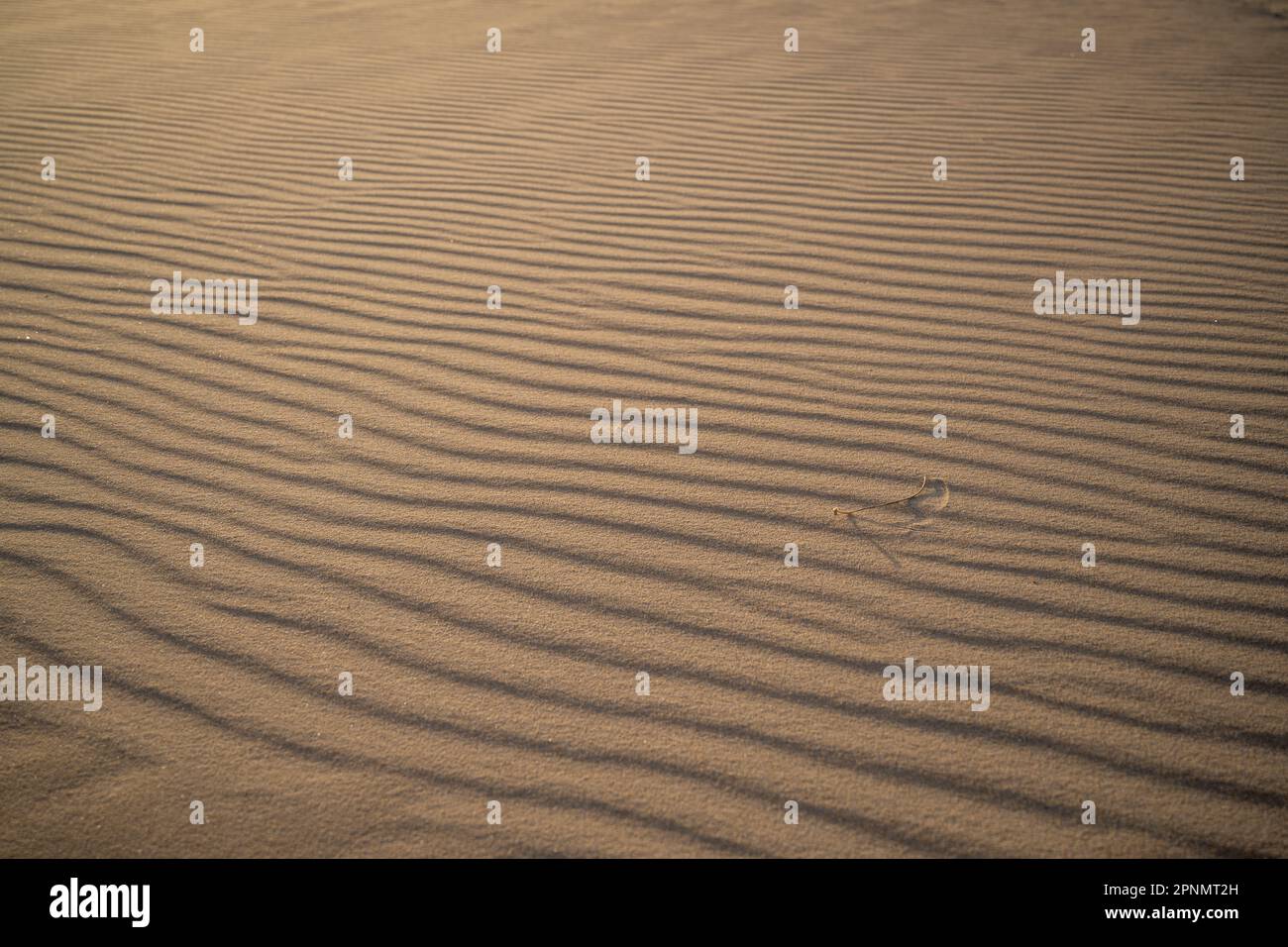 Rippled sand with contrasting lines running horizontally Stock Photo