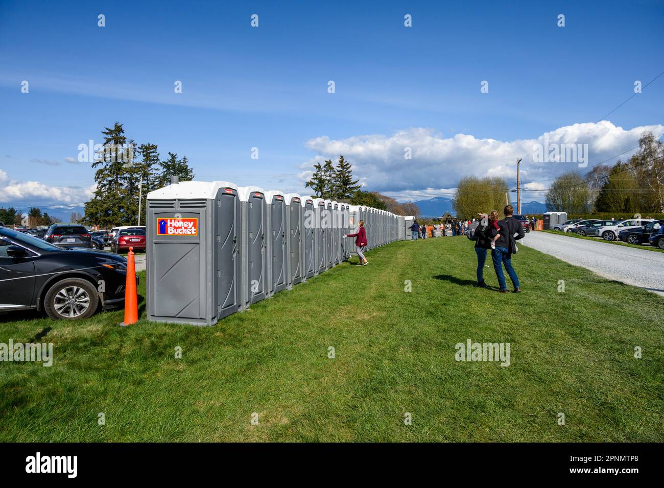 MOUNT VERNON, WA, USA – APRIL 14, 2023: RoozenGaarde Farm, Skagit Valley Tulip Festival, parking lot and long row of portable toilets Stock Photo