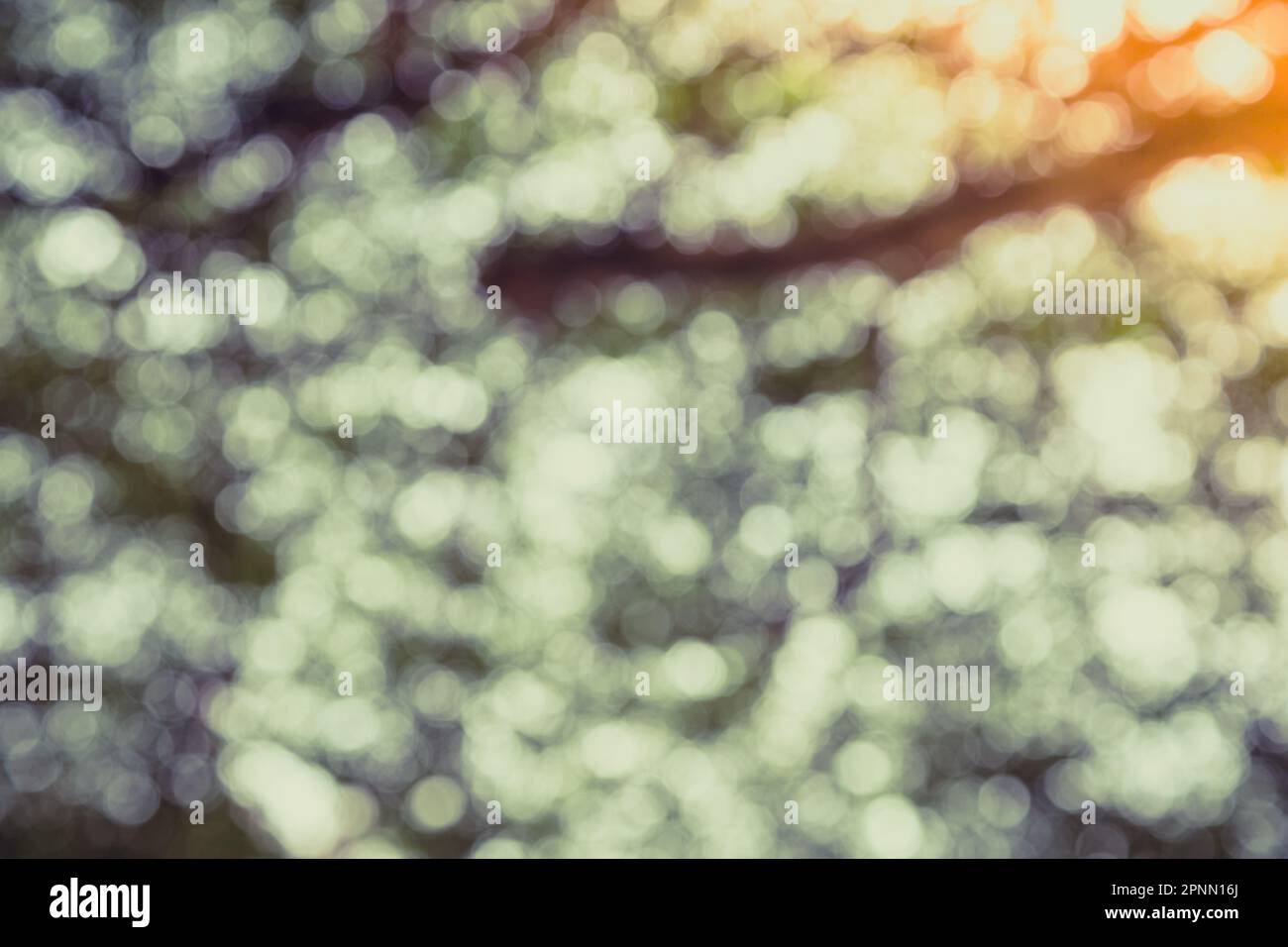 Green bokeh of tree nature background Stock Photo - Alamy