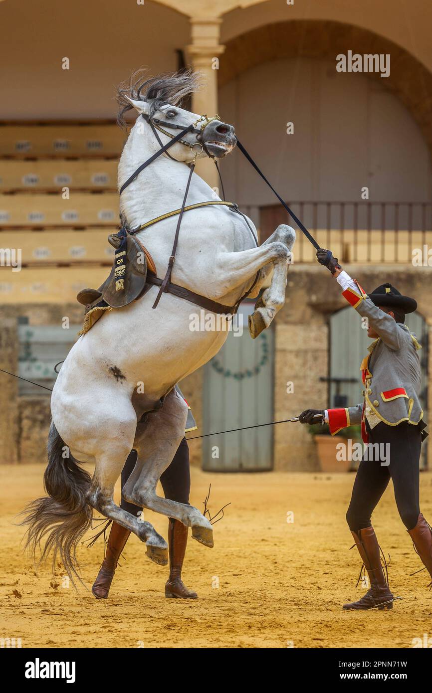 April 19, 2023 (Ronda, Malaga) Felipe VI is received by dozens of people upon his arrival at the bullring to participate in the commemoration of the 450th anniversary of the Real Maestranza de Caballería de Ronda. It was attended by some 2,500 schoolchildren from the Serranía de Ronda. Credit: CORDON PRESS/Alamy Live News Stock Photo