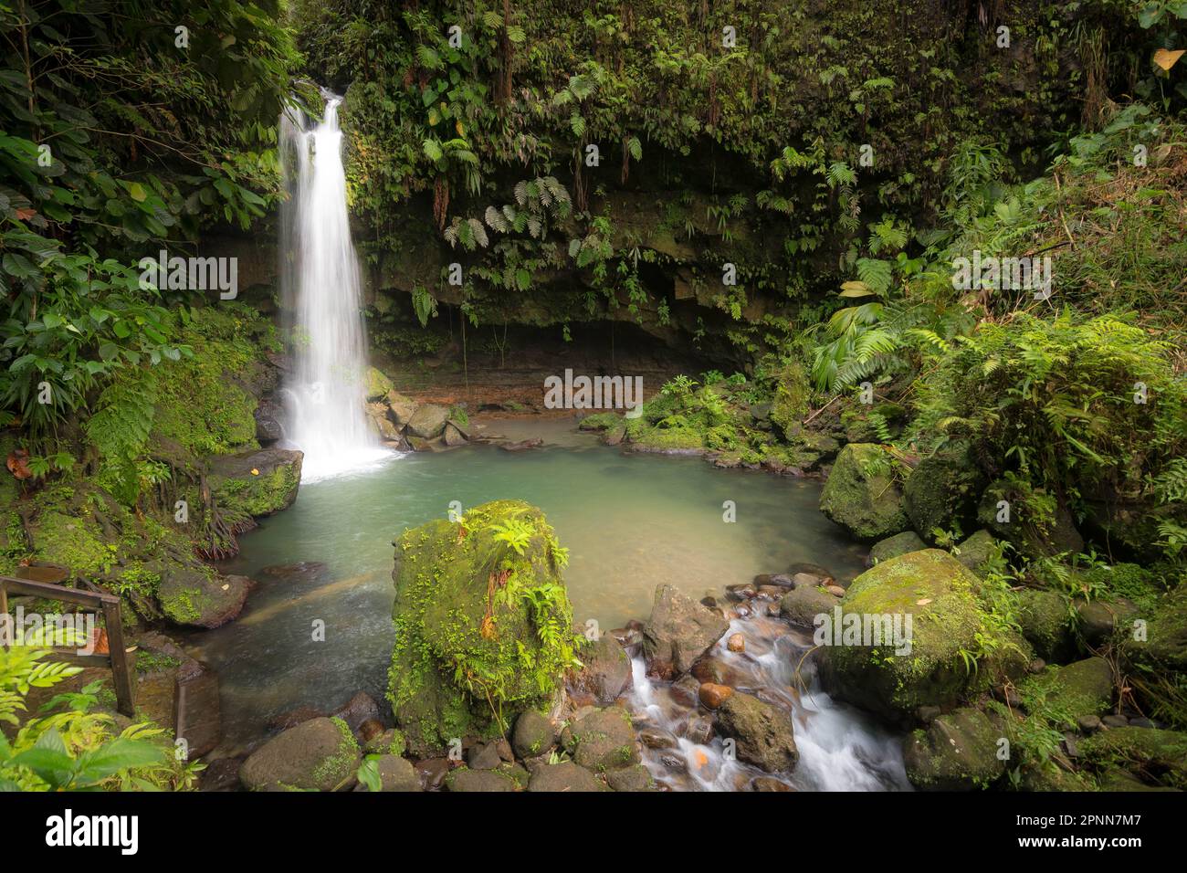 Emerald Pool in Dominica Stock Photo - Alamy