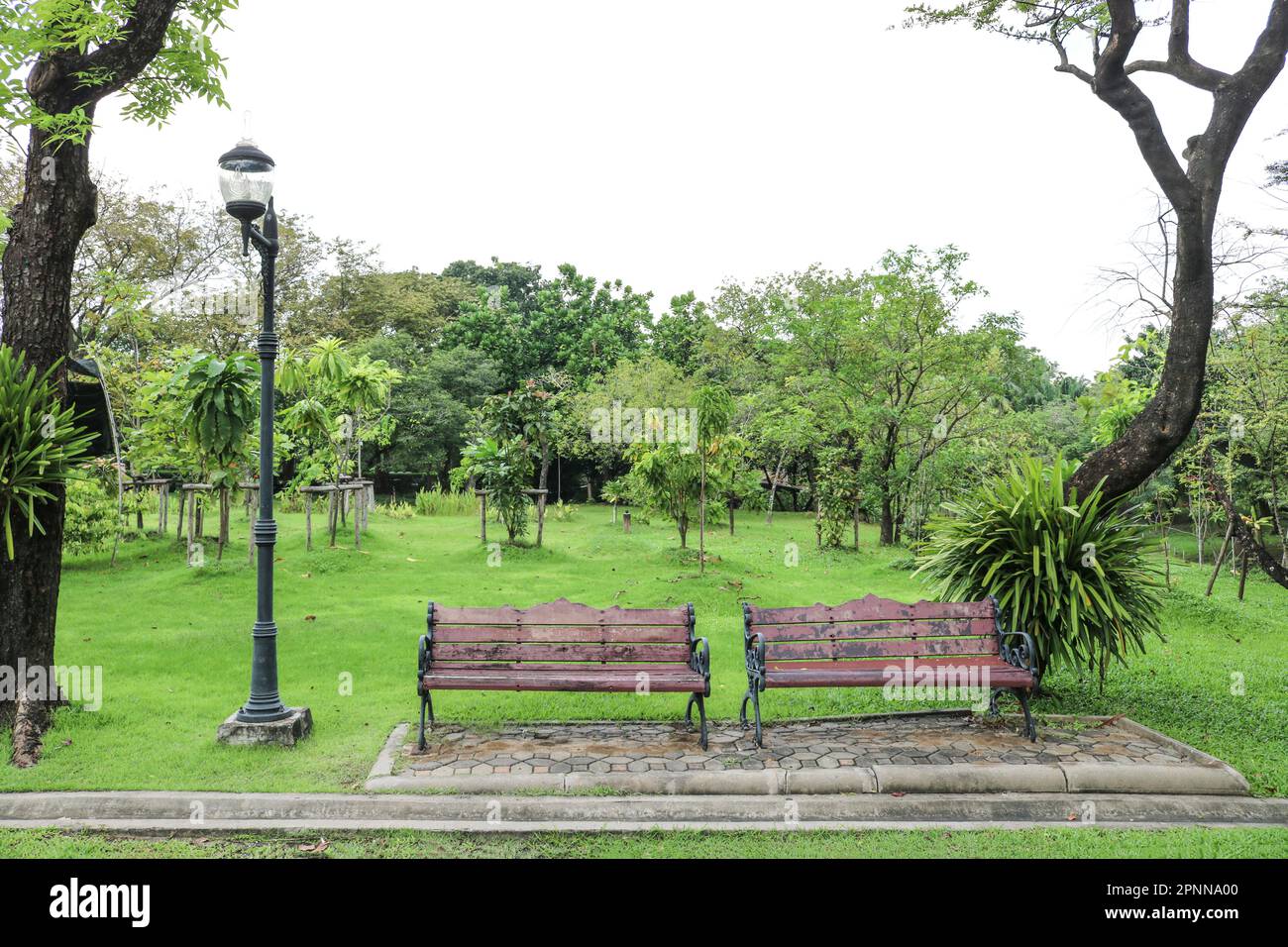 Vintage benches in a city park, summer landscape Stock Photo - Alamy