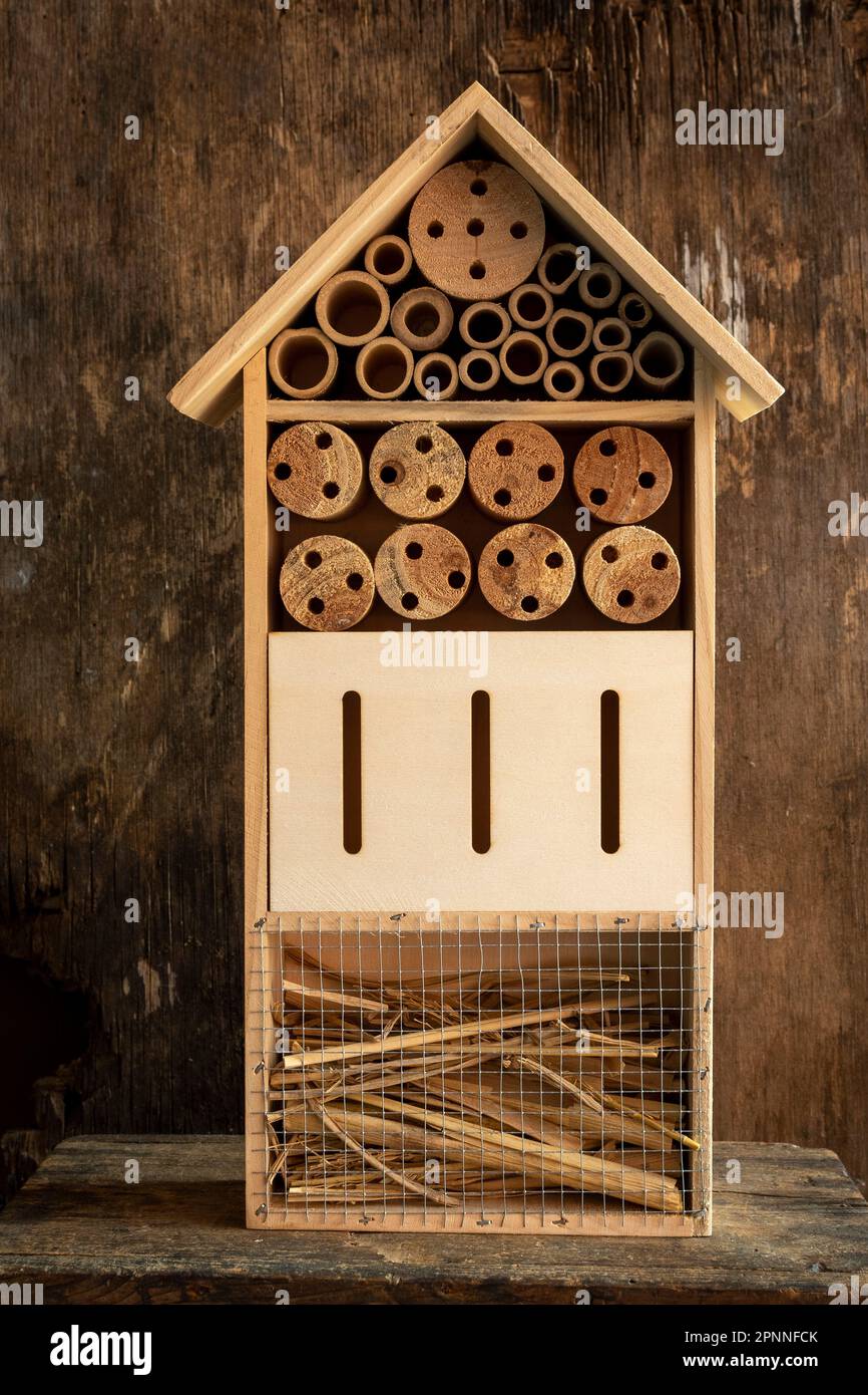 Insect hotel constructed from natural materials, displayed against a textured wooden backdrop Stock Photo