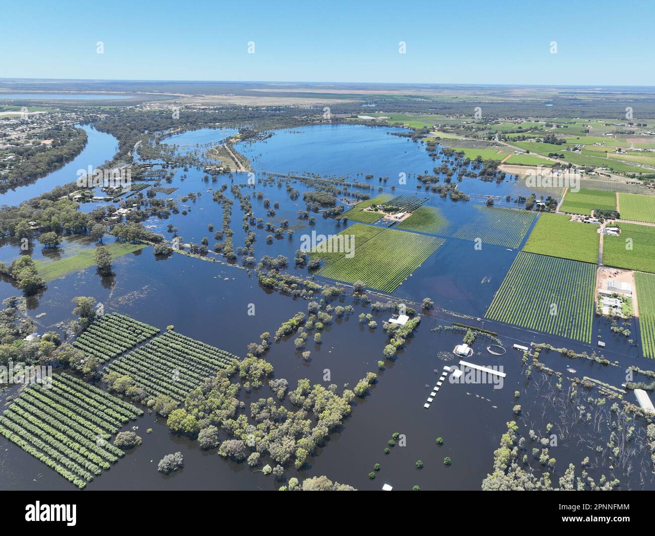 Mildura Murray river flood in 2022 Stock Photo Alamy