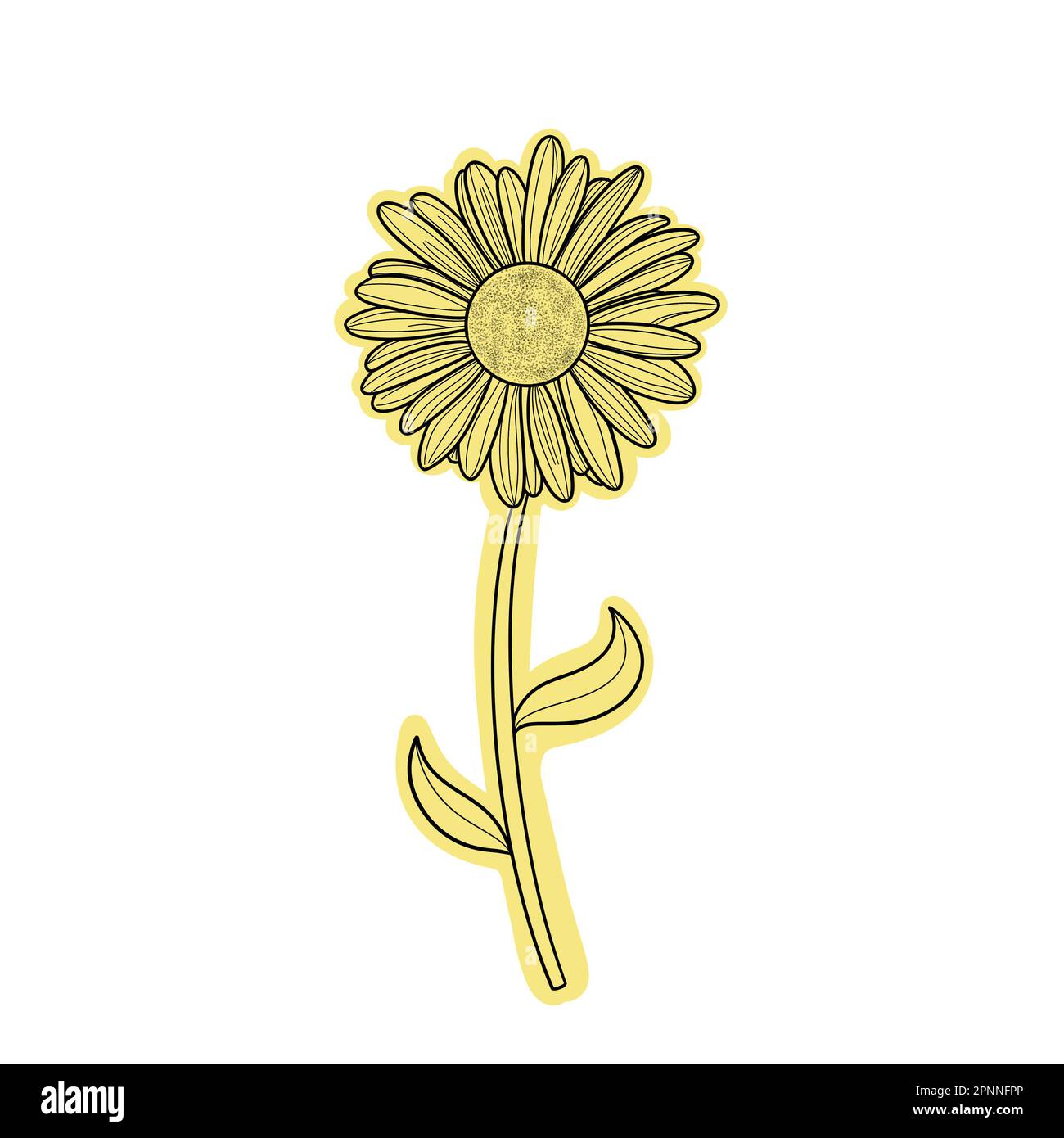 Yellow daisy  flower icon. It is a versatile illustration designed for various uses. Stock Photo