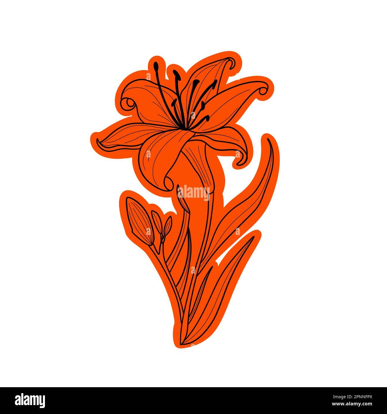 Orange lily flower icon. It is a versatile illustration designed for