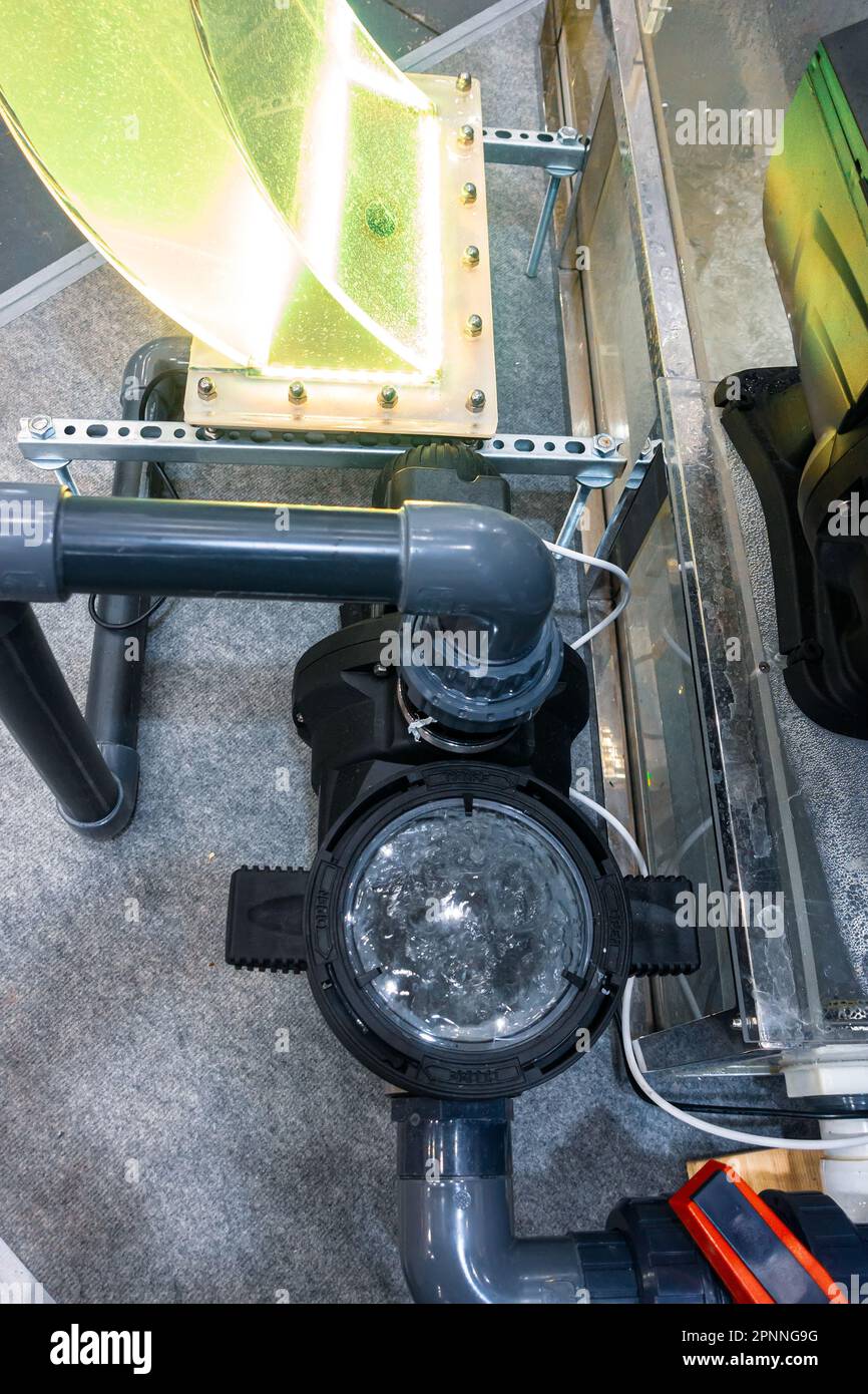 Swimming pool circulation pump with prefilter, coarse filter Stock