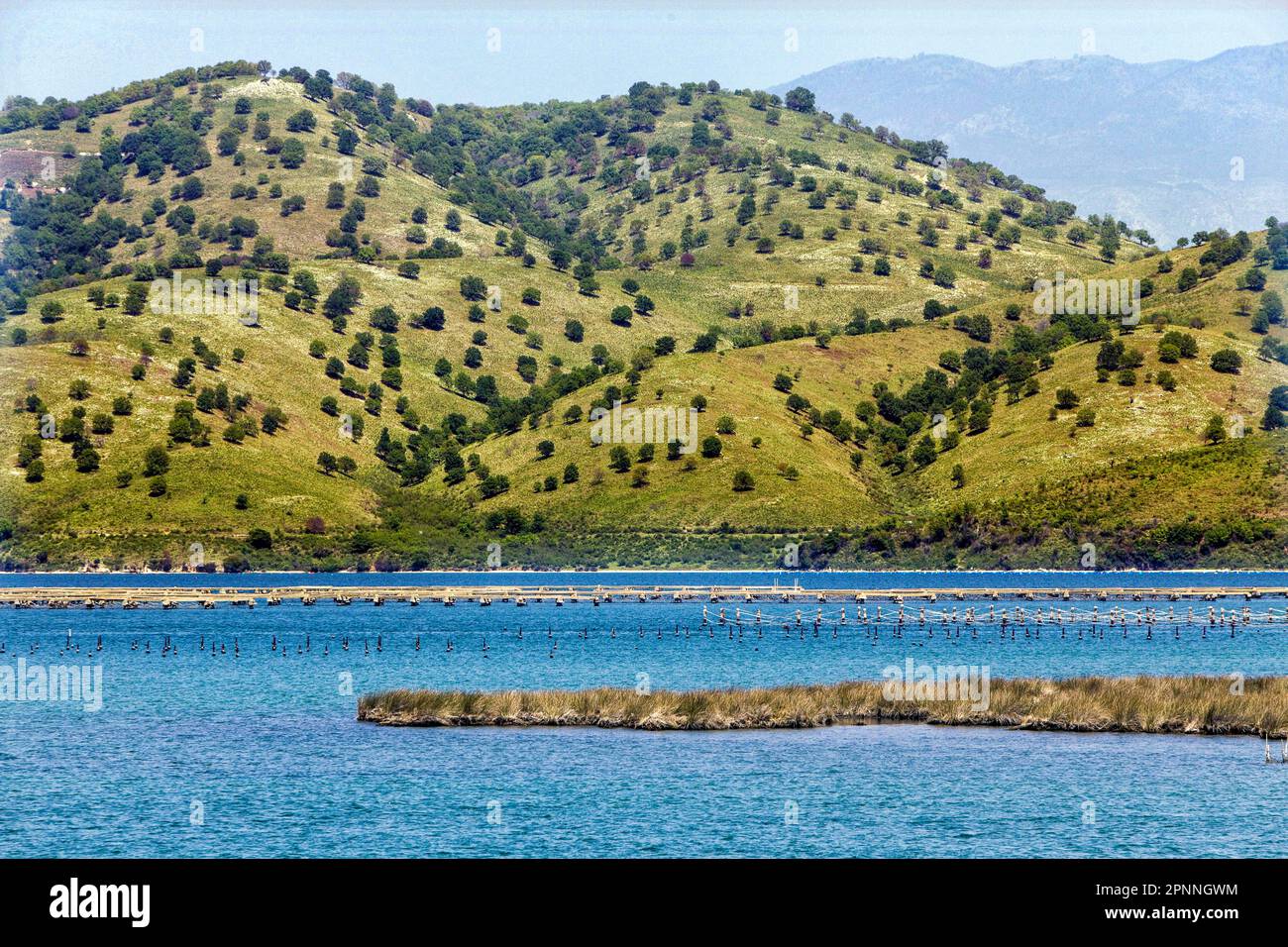 Lake Butrint, saltwater lagoon on the coast of the Ionian Sea, breeding facilities for mussels (Mytilus galloprovincialis), Saranda, Qark Vlora Stock Photo