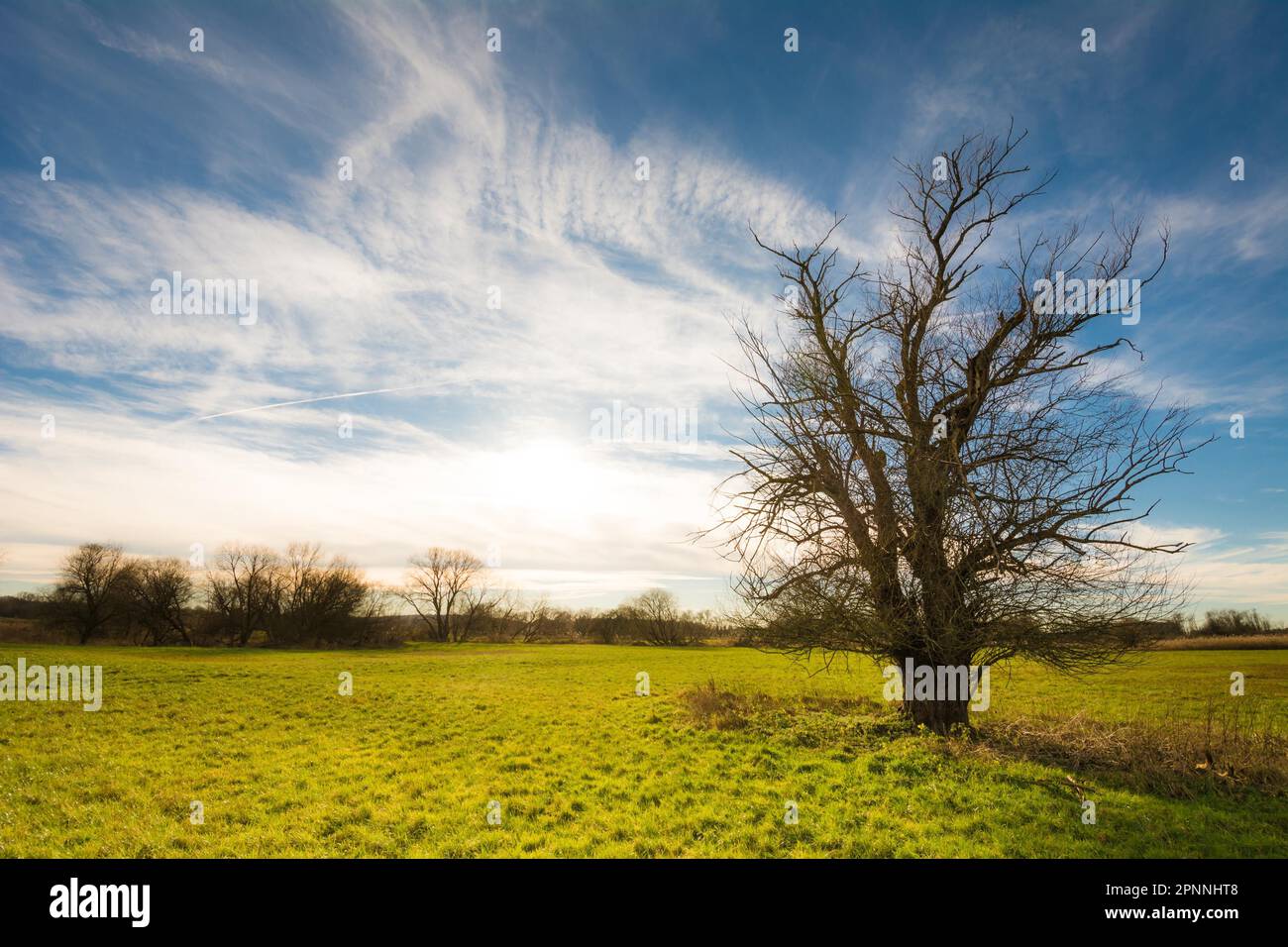 Idyllic dawn setting hi-res stock photography and images - Alamy