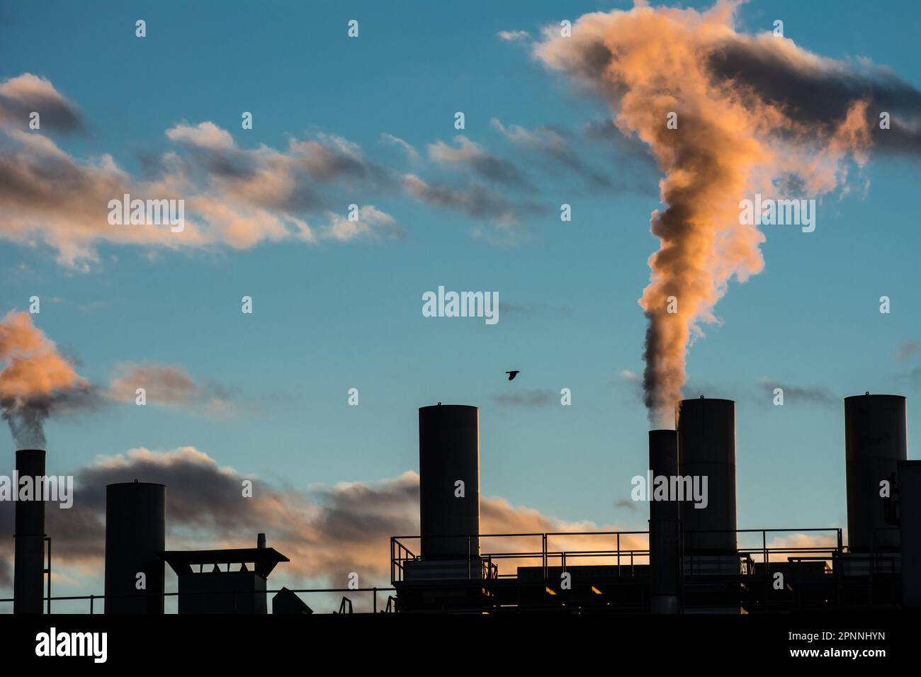 Air pollution from smokestacks of a factory in the sunset Stock Photo