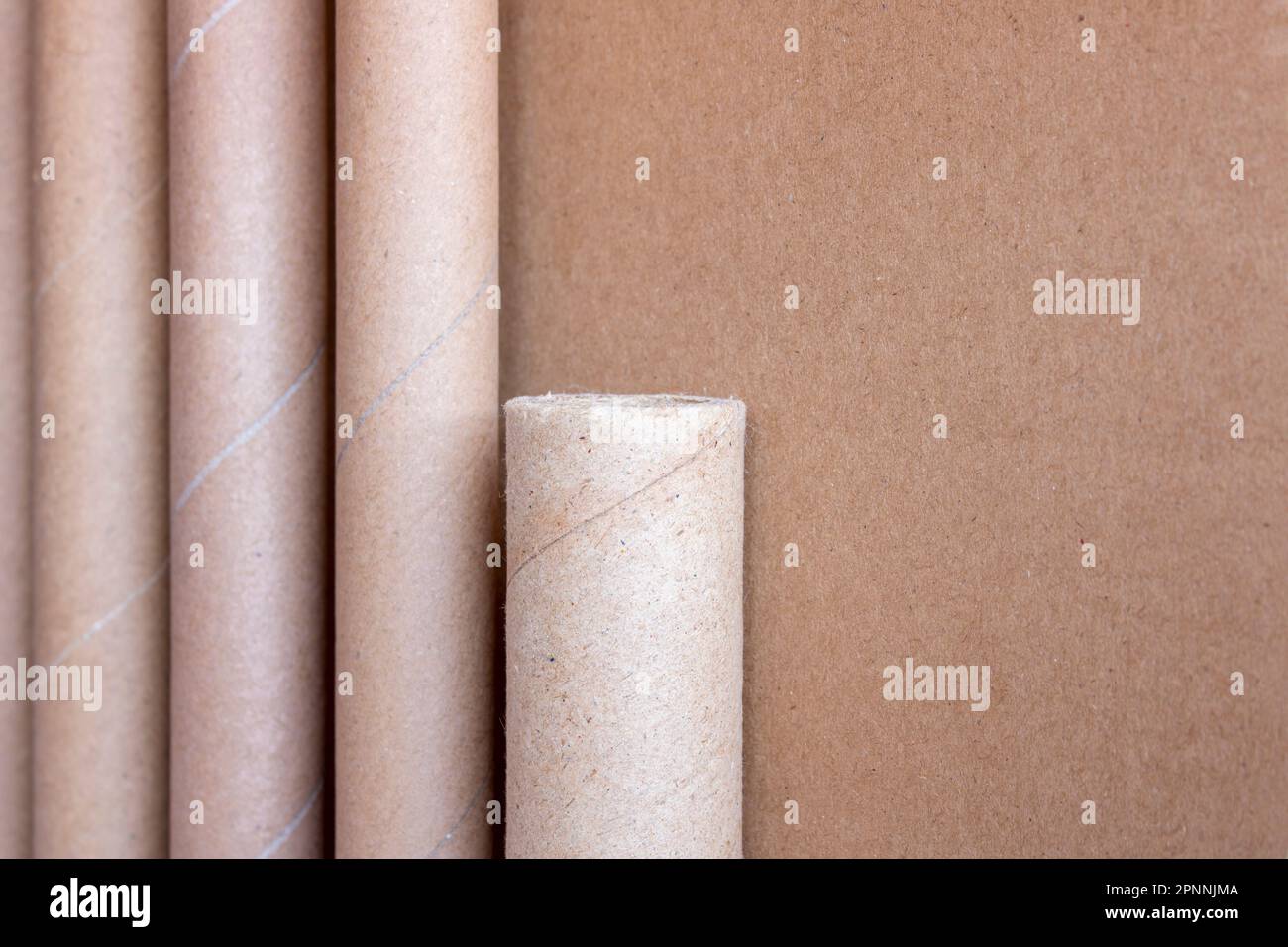 cardboard cylinders of different sizes and color variations on a