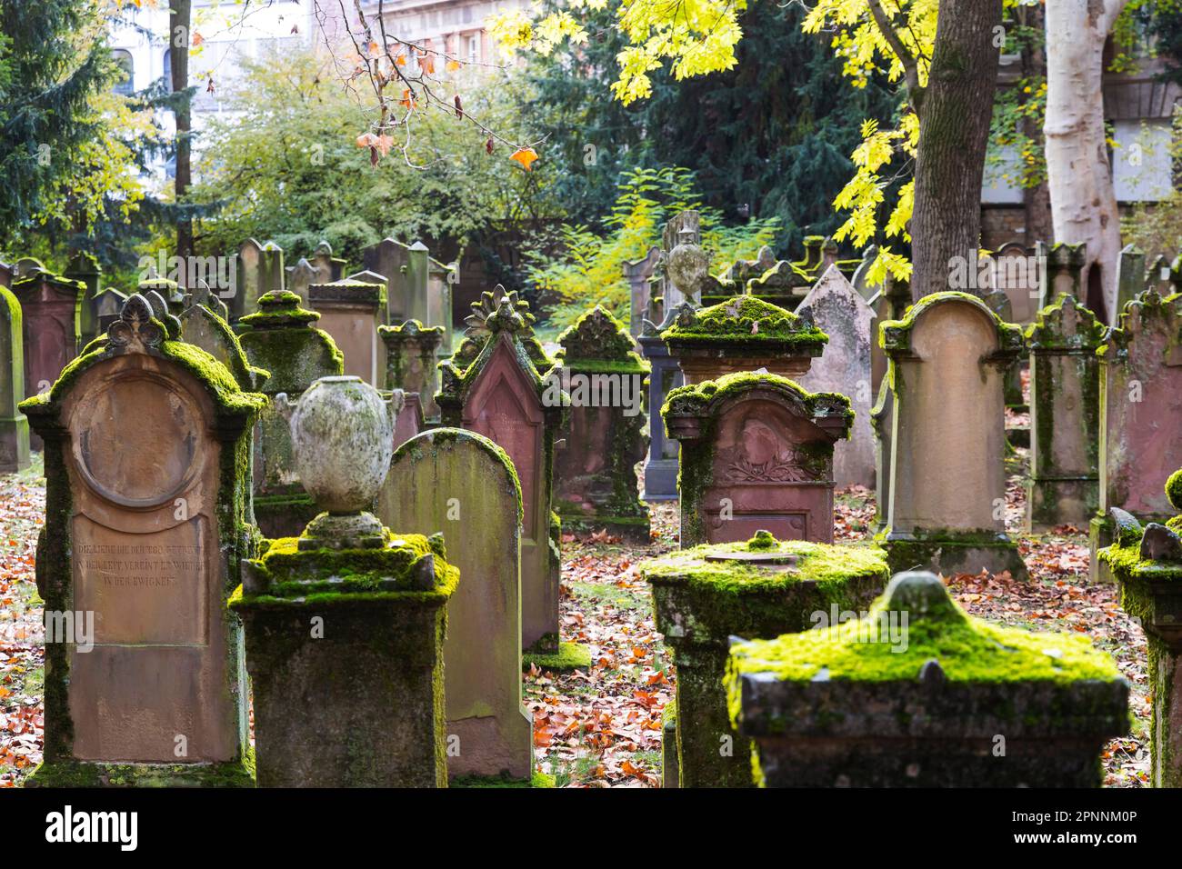 Israelite cemetery, Judaism, part of the Hoppenlau cemetery, oldest preserved cemetery in Stuttgart, Baden-Wuerttemberg, Germany Stock Photo