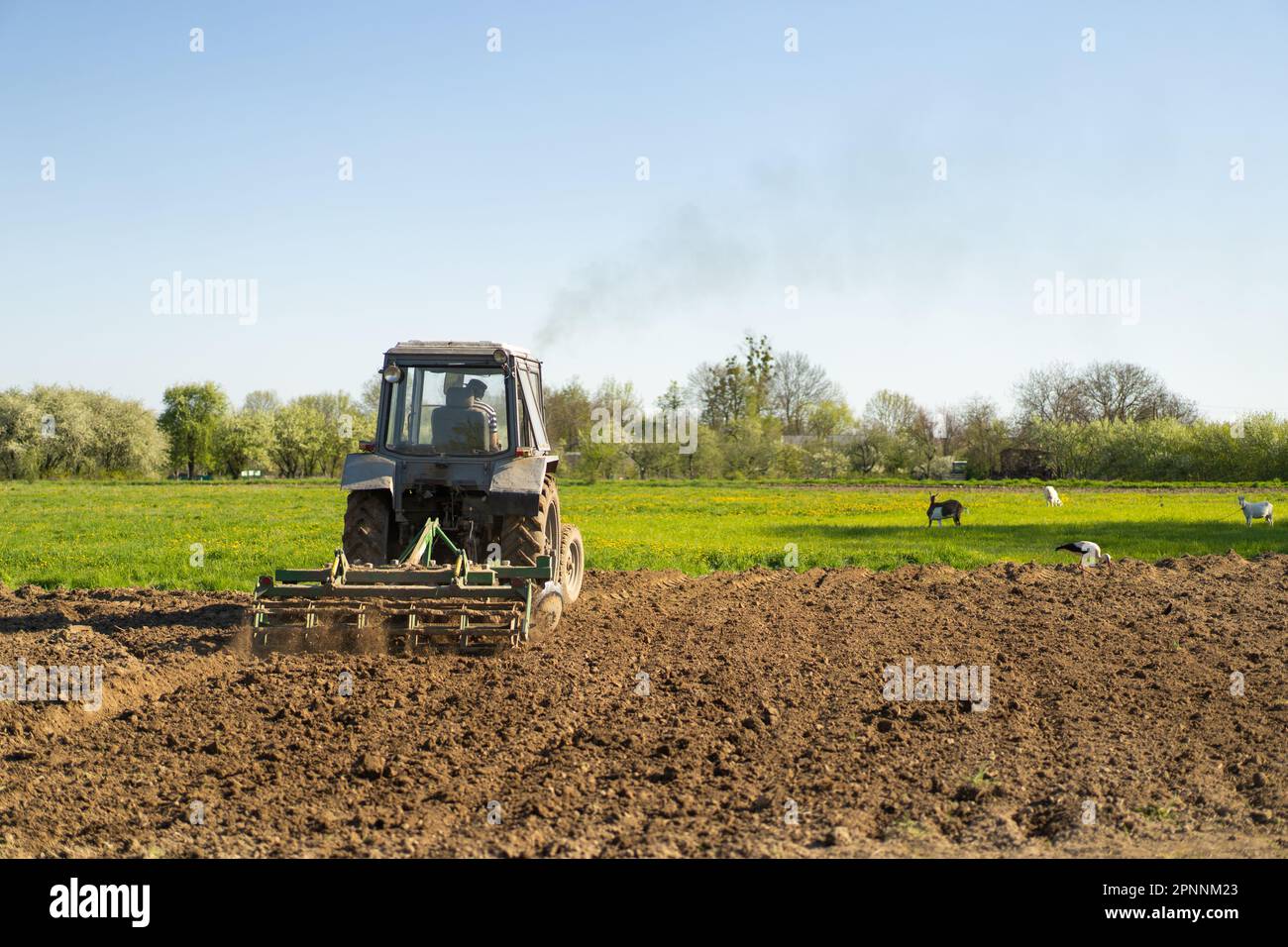 The tractor drives across the field and cultivates the land. Stock Photo