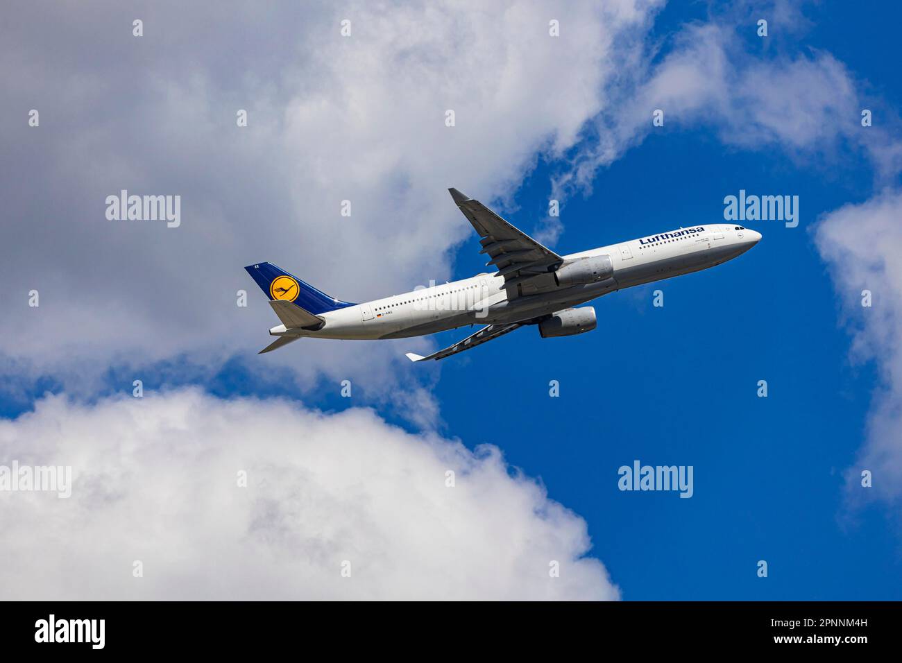 Airbus A330-300 of the airline Lufthansa taking off at Fraport Airport, Tower and Terminal, Frankfurt am Main, Hesse, Germany Stock Photo