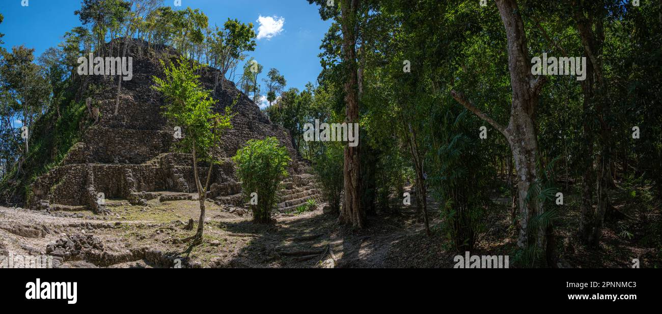 Panoramic landscape of the La Danta archaeological site in Guatemala featuring a large pyramid complex situated amid lush vegetation Stock Photo