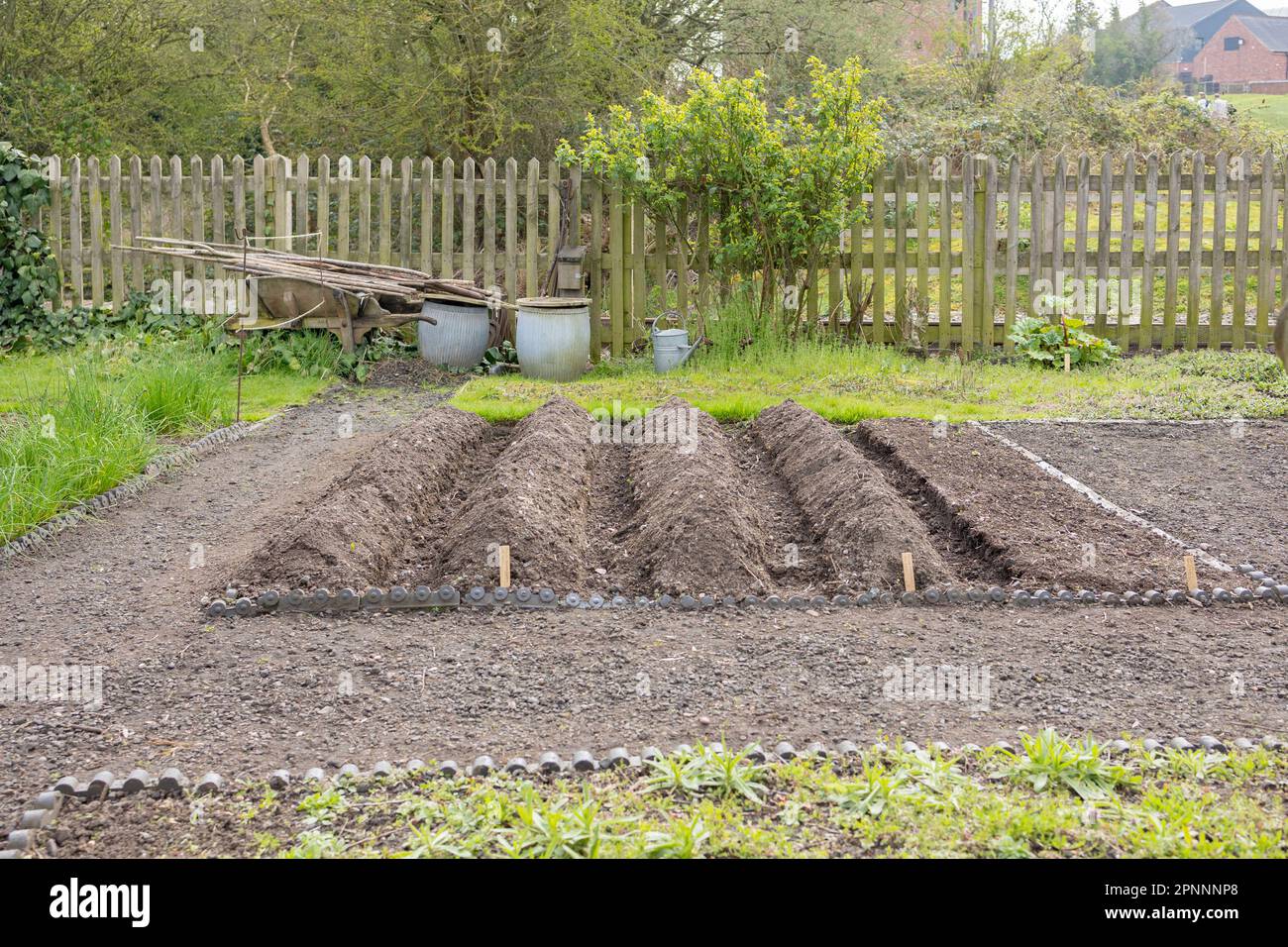 The beds of the earth. Soil, ground. Formation of beds for planting