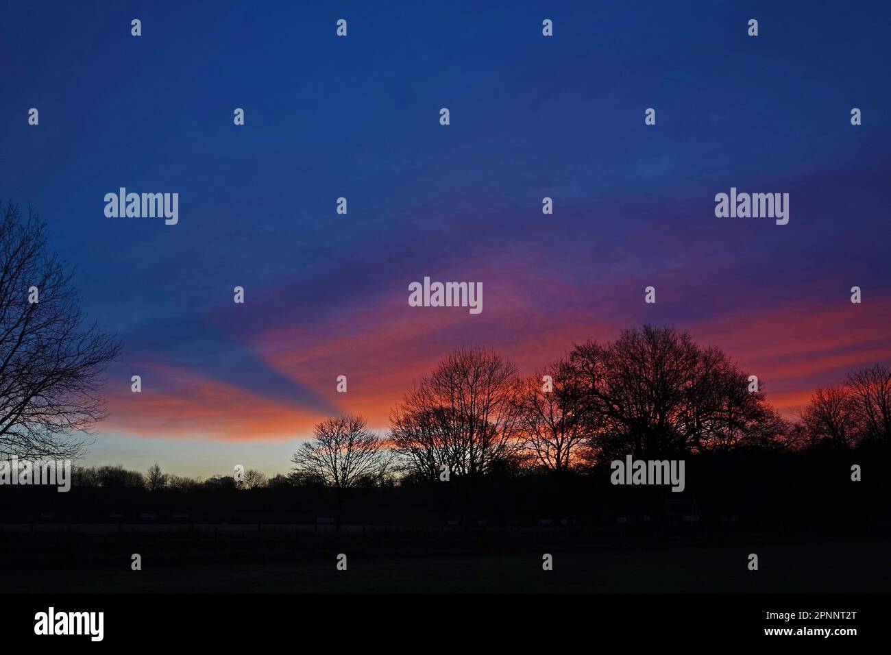 vivid red sunrise over a line of trees silhouetted against deep blue ...