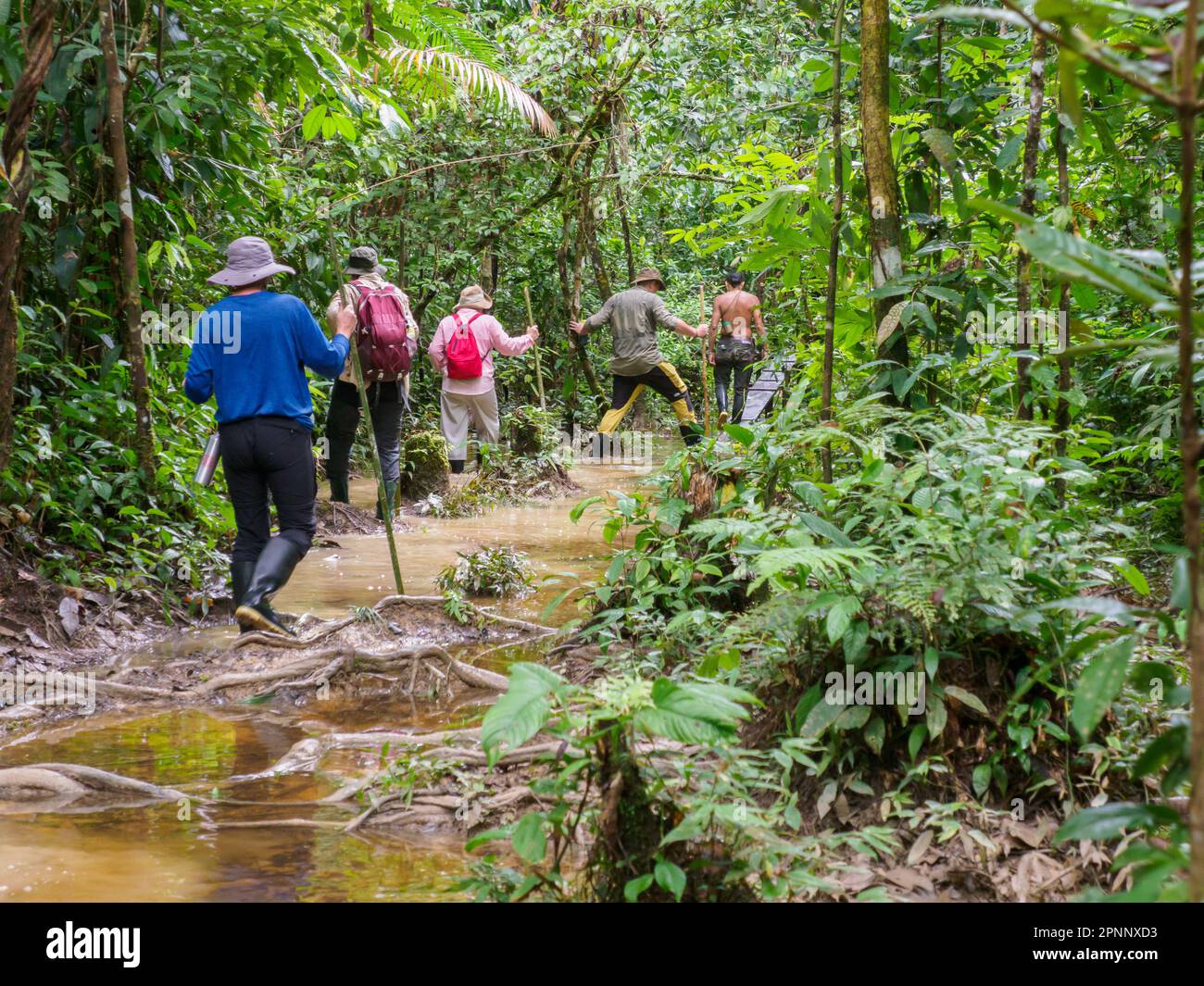 Leticia, Colombia Dec, 2021 Trekking through rainforest of the