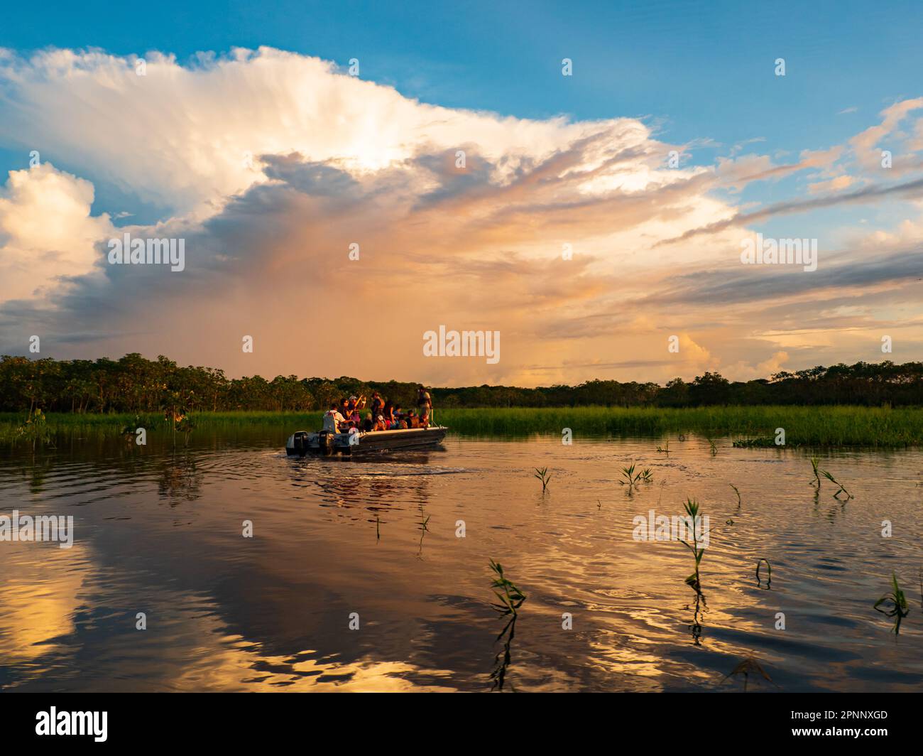 Sunset time over the Ukajali River in Amazon Rainforest, Amazonia, Pacaya Samiria National