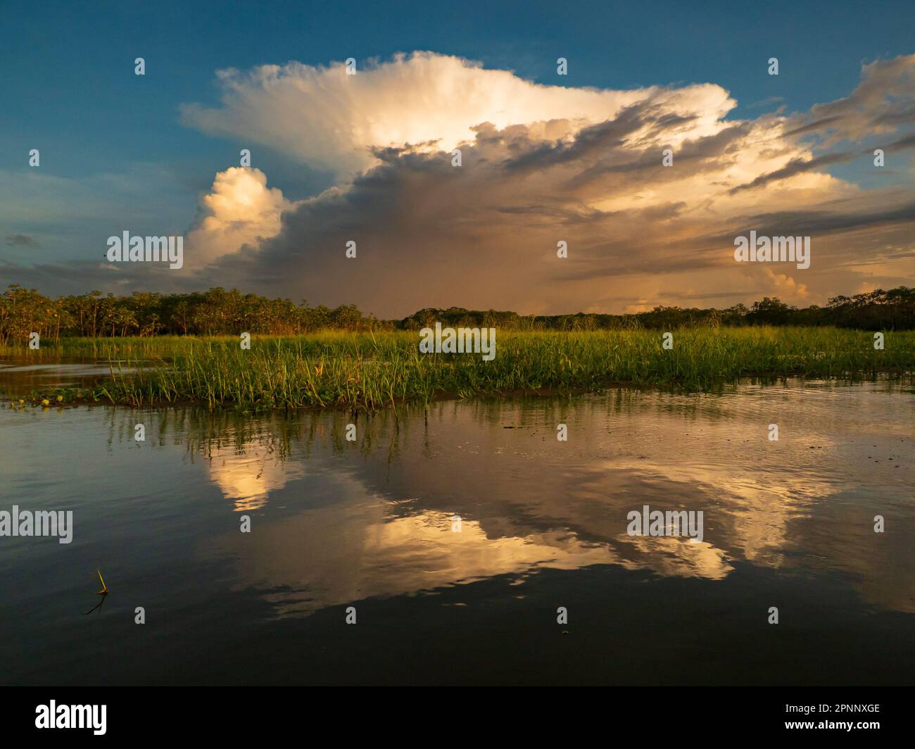 Sunset time over the Ukajali River in Amazon Rainforest, Amazonia, Pacaya Samiria National